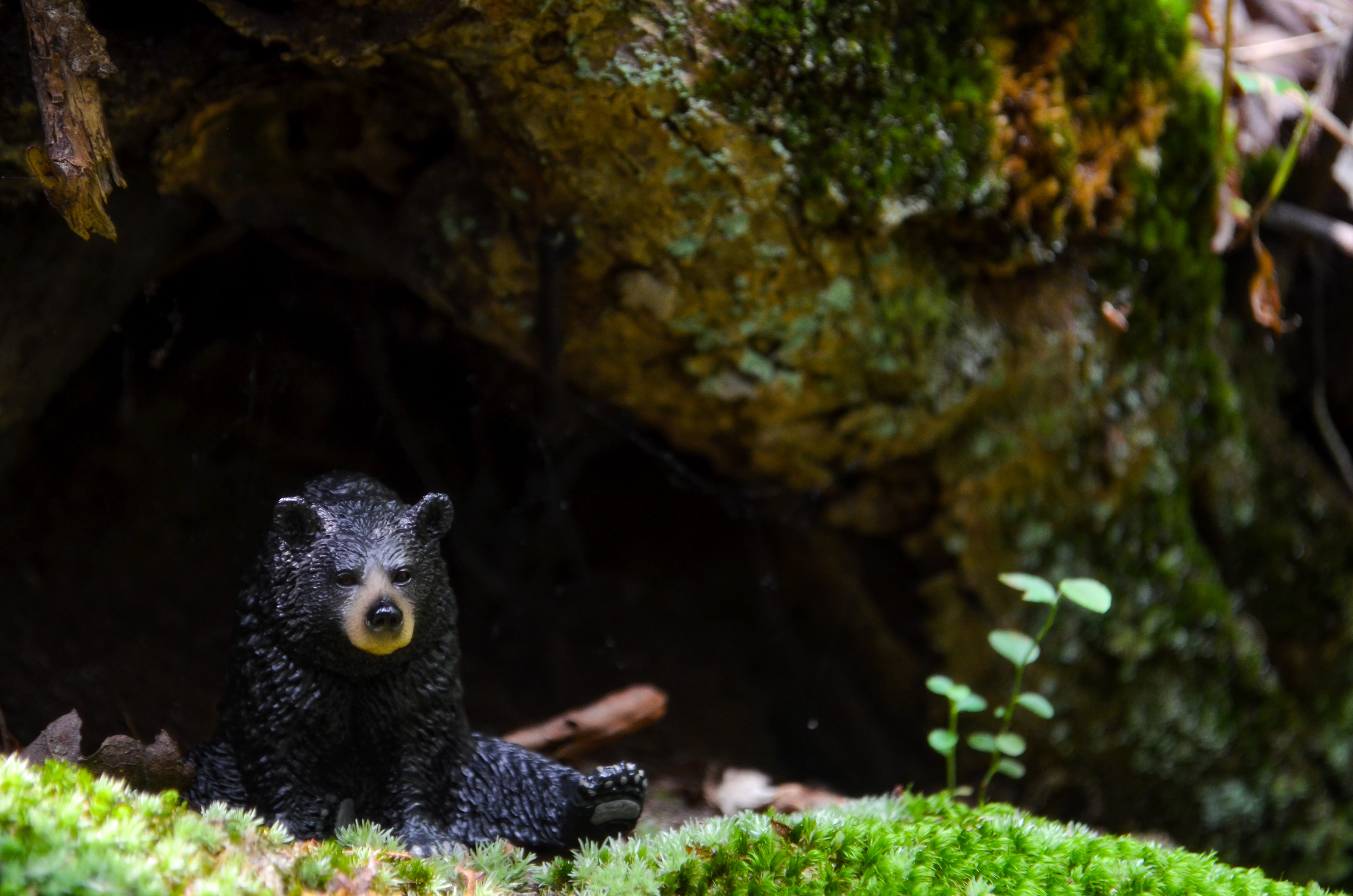 Toymany Resting Black Bear Figurine Toy