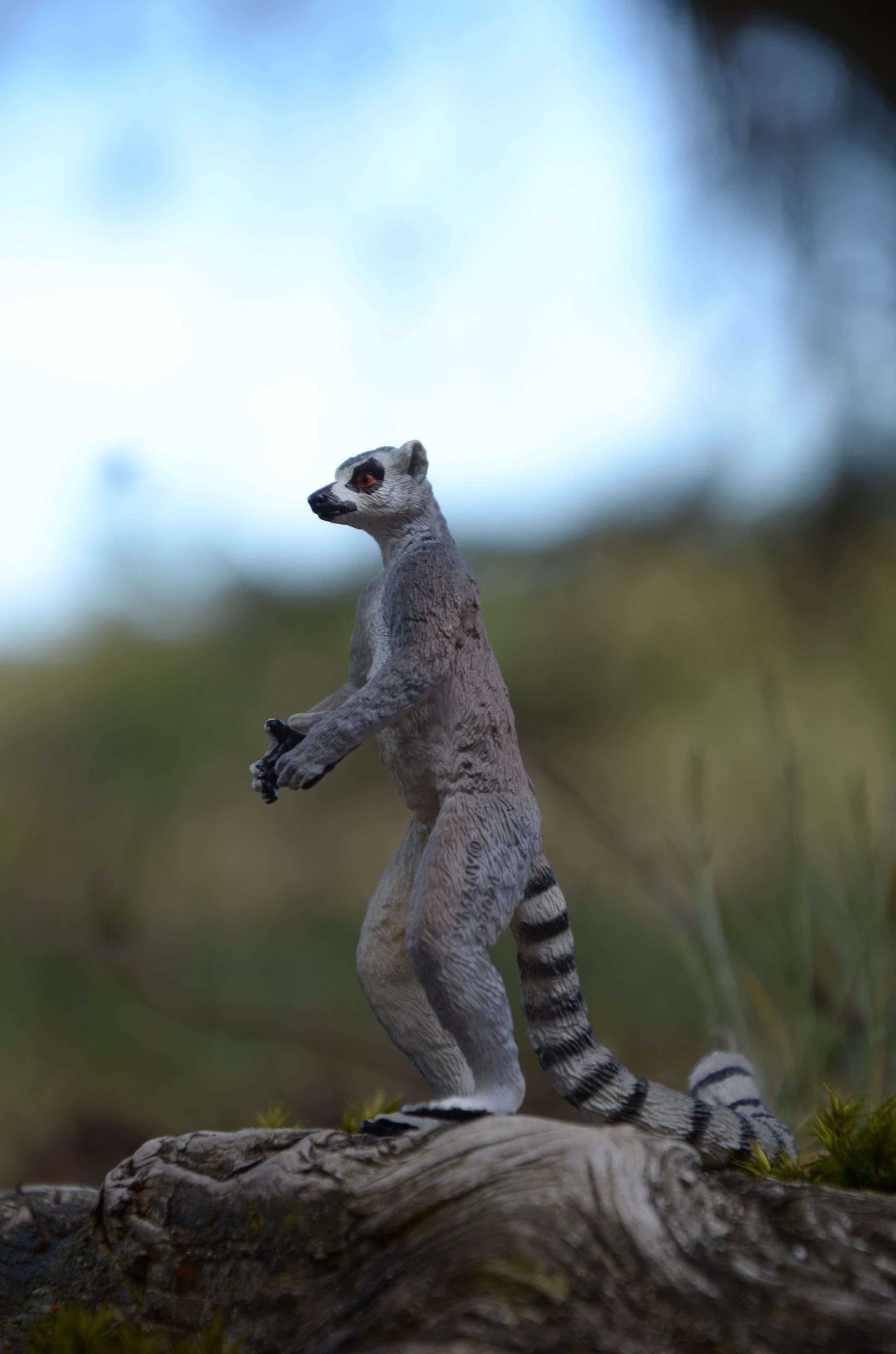 Toymany Ring-tailed Lemur Figurine Toy