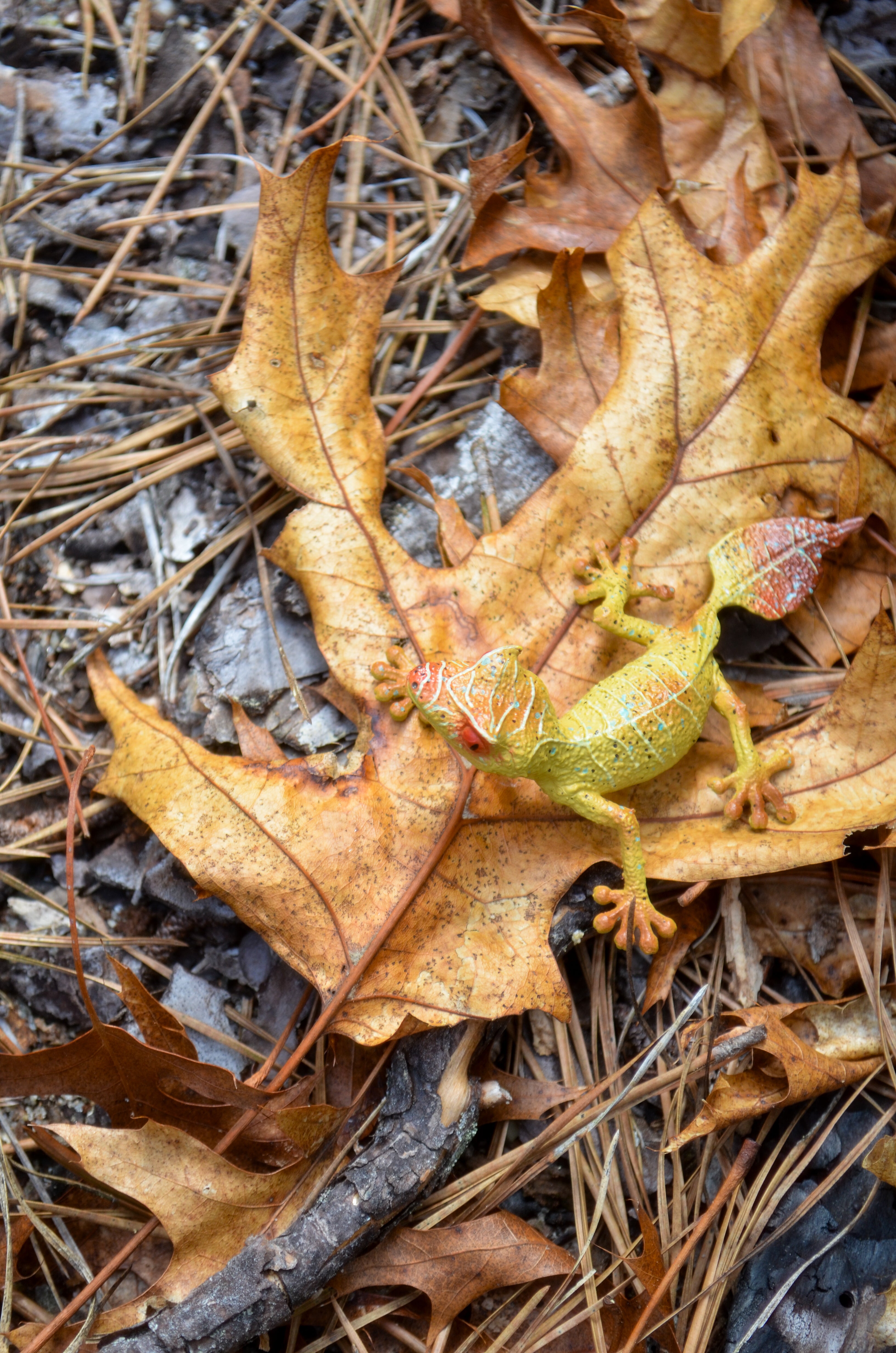 لعبة مجسّم من Toymany للوزغة ذات الذيل الورقي الشيطاني