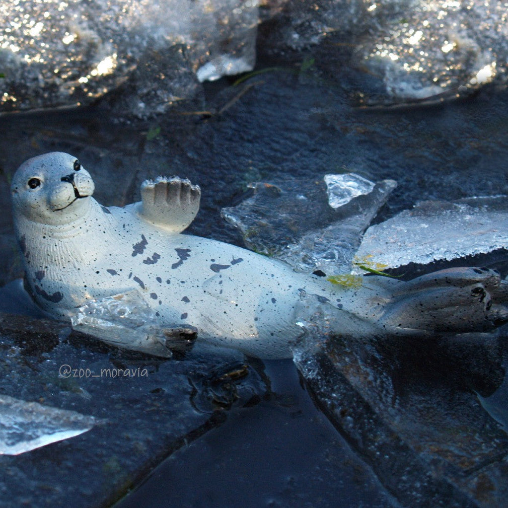 Figura de juguete Toymany de foca