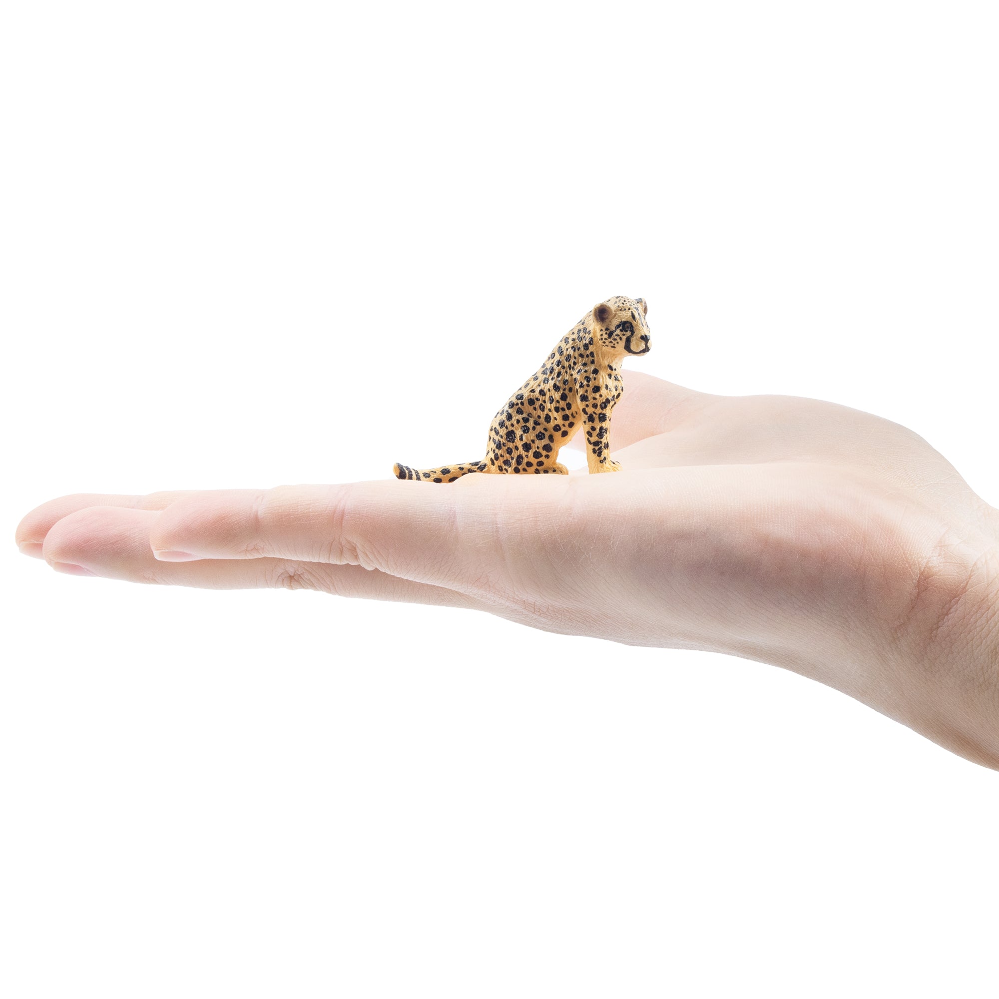 Toymany Sitting Cheetah Cub Figurine Toy-on hand