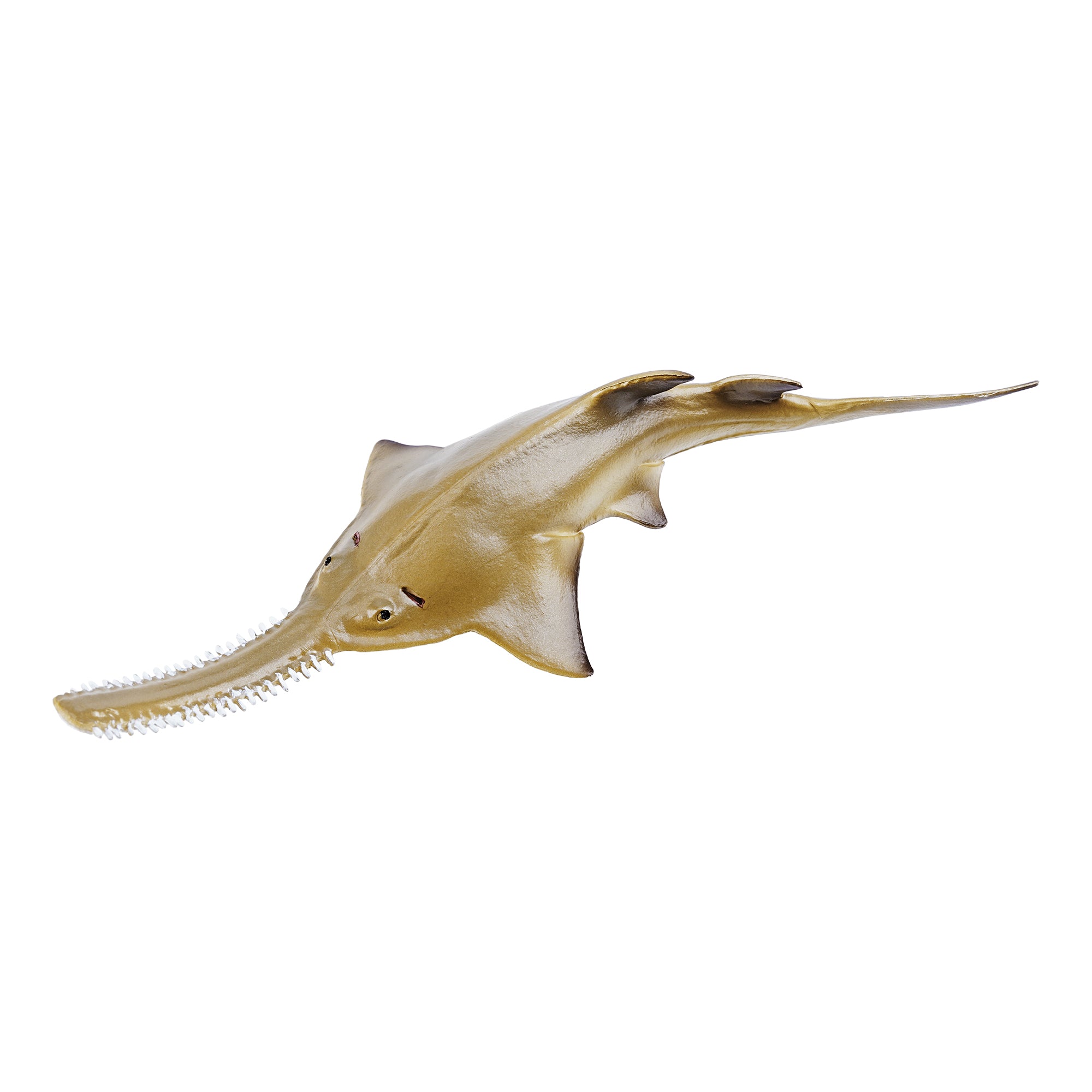Toymany_Smalltooth_Sawfish_Pup_Figurine_Toy_Small_Size-2