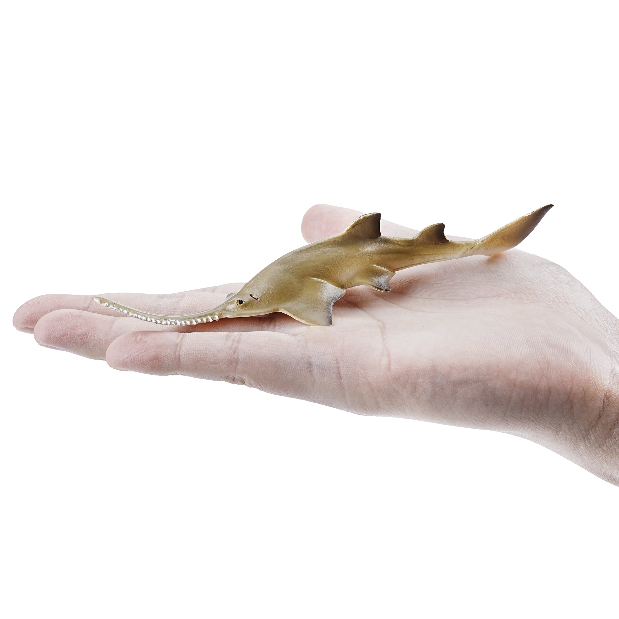 Toymany_Smalltooth_Sawfish_Pup_Figurine_Toy_Small_Size-on_hand