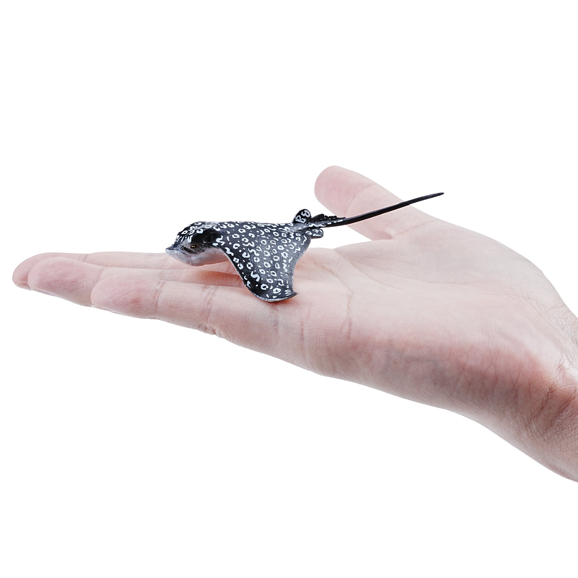 Toymany_Spotted_Eagle_Ray_Figurine_Toy_Small_Size-on_hand