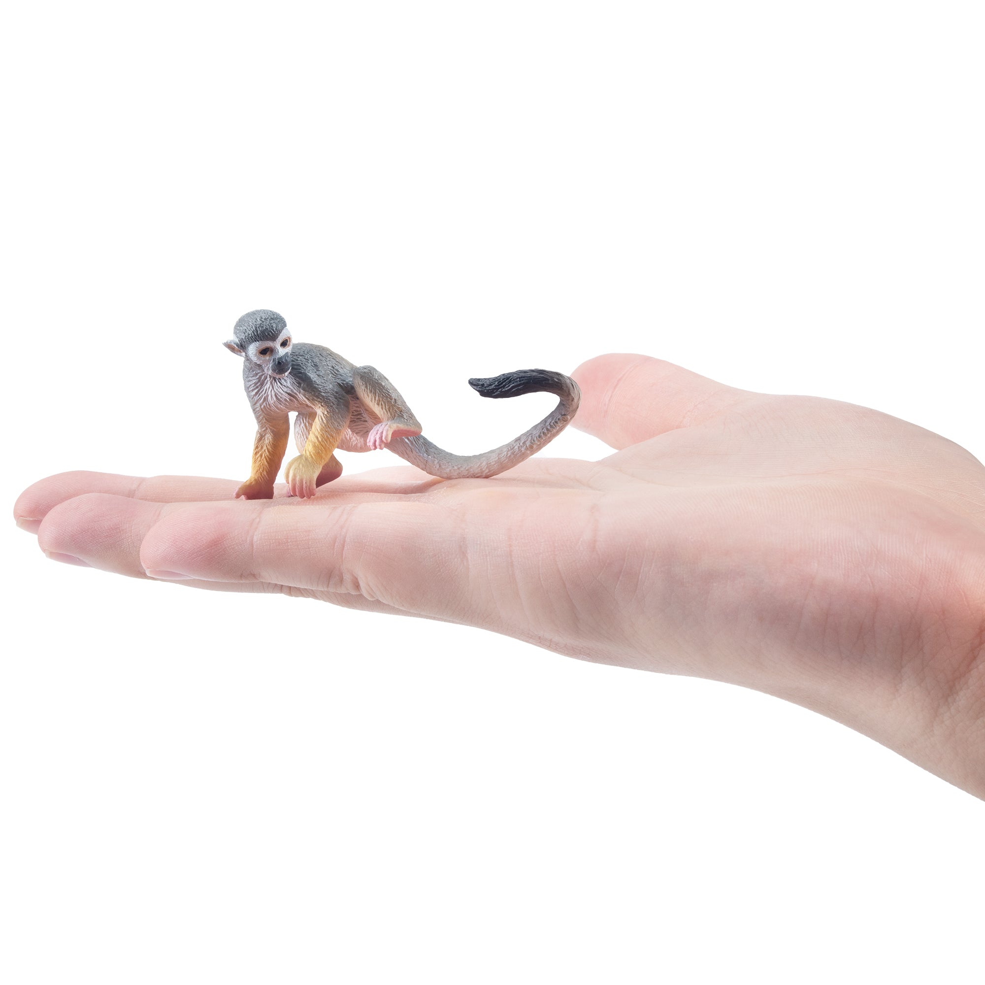 Toymany_Squirrel_Monkey_Figurine_Toy-on_hand