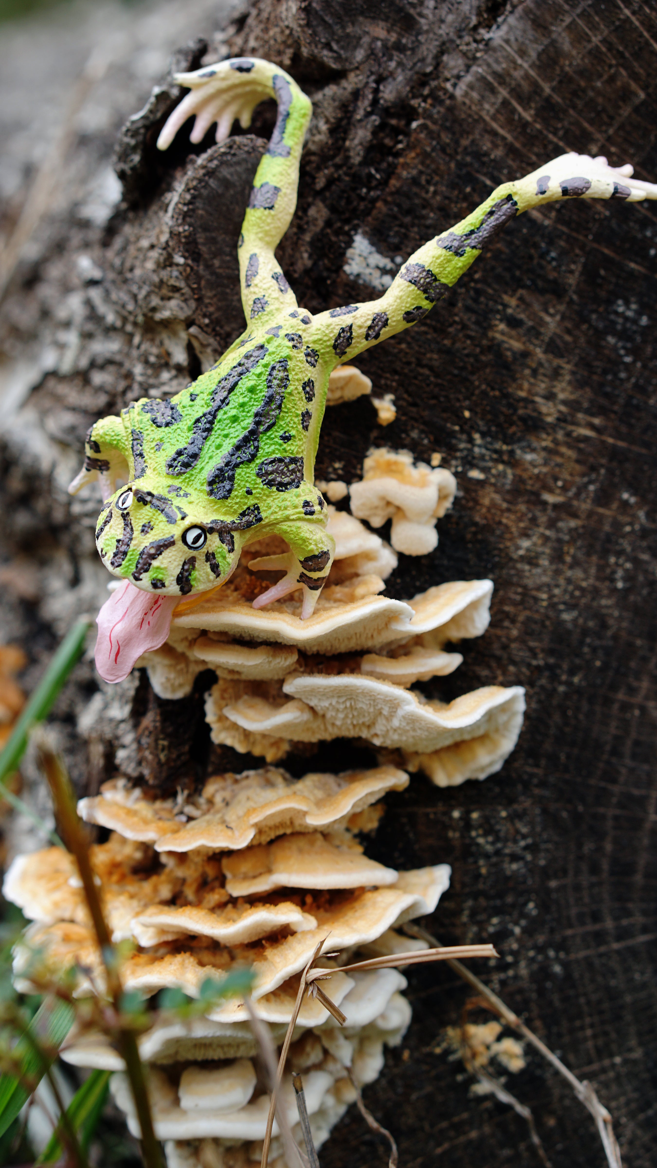 لعبة تمثال ضفدع سورينام المقرن من Toymany