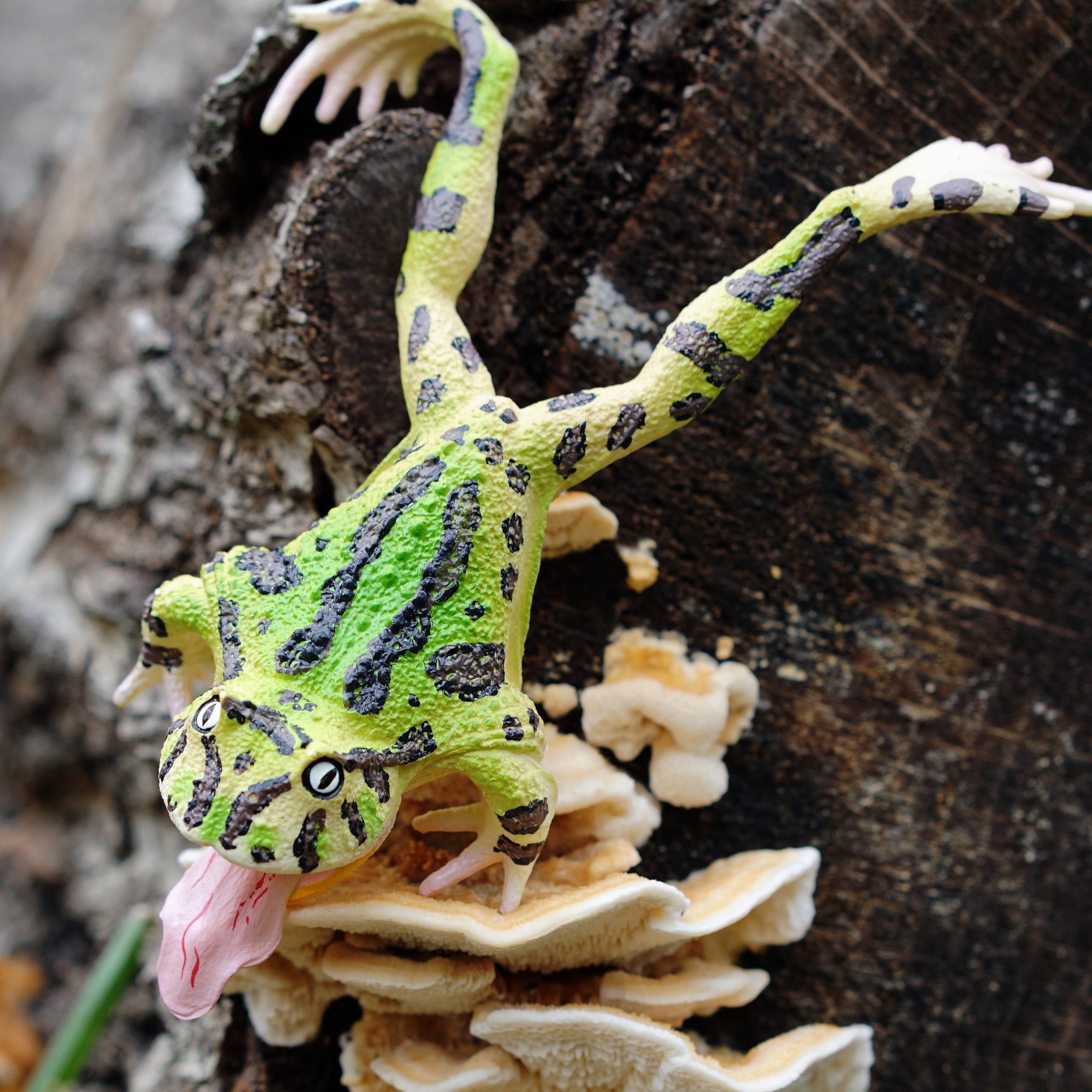 Figurita de Rana Cornuda de Surinam Toymany