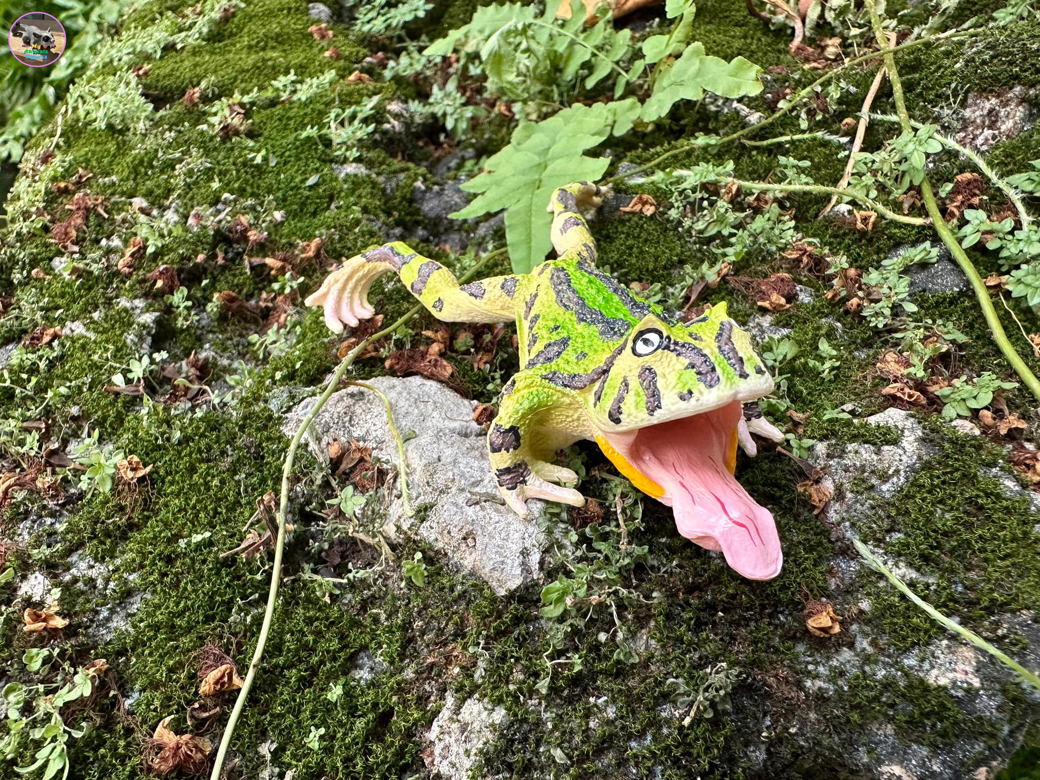 لعبة تمثال ضفدع سورينام المقرن من Toymany