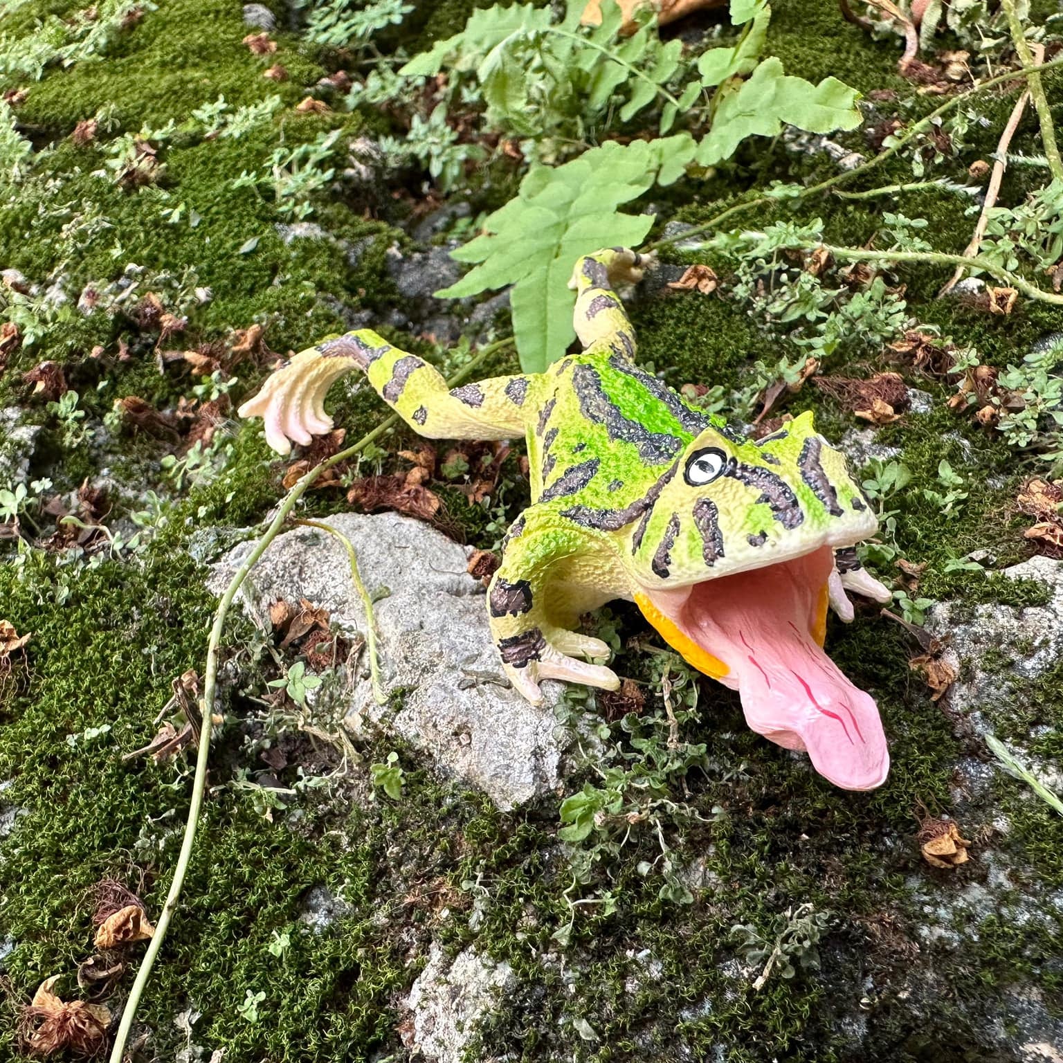 Figurita de Rana Cornuda de Surinam Toymany