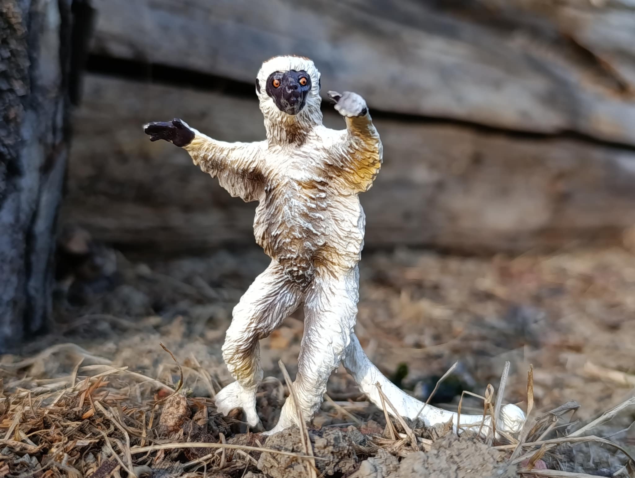 Toymany Verreaux's Sifaka Figurine Toy
