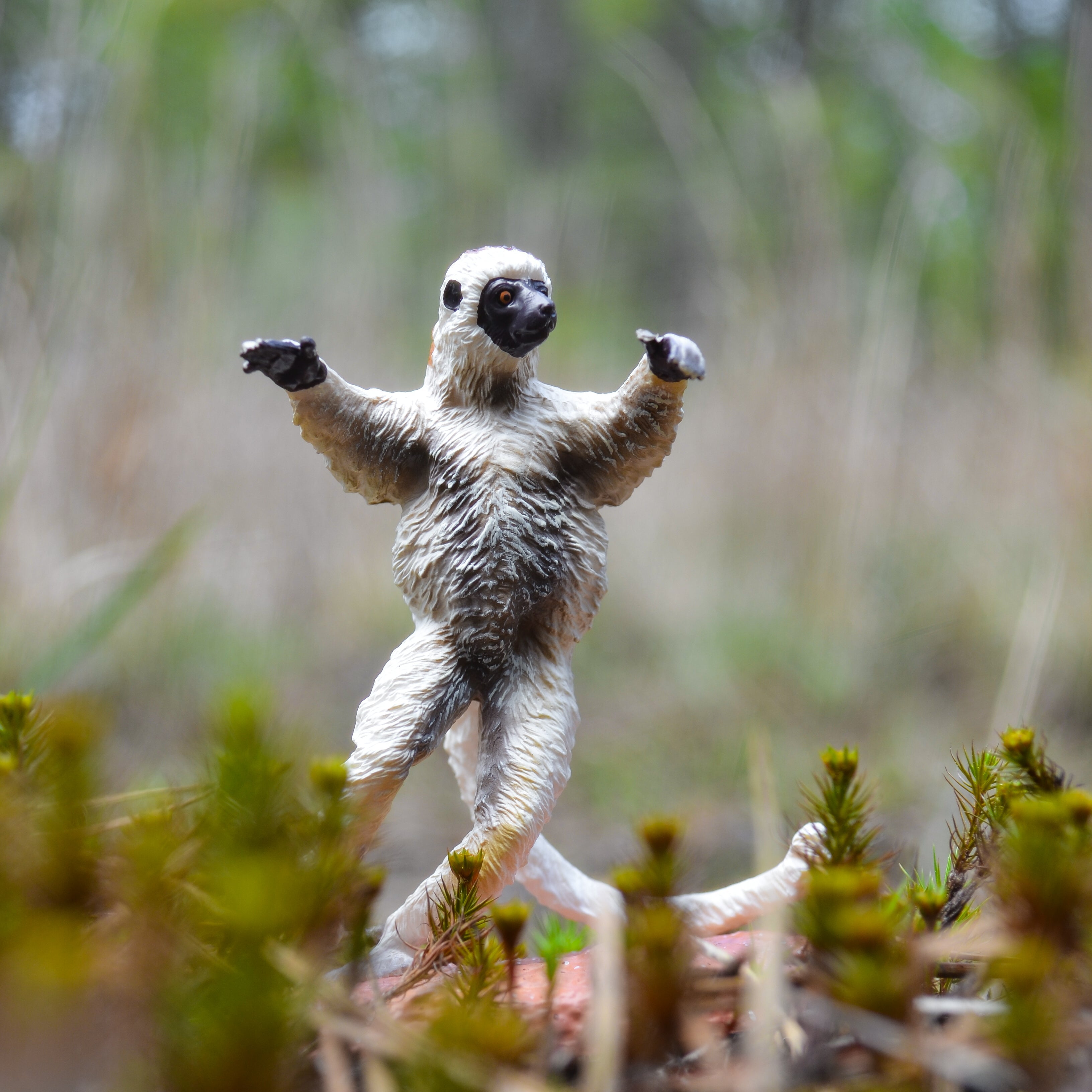 Toymany Verreaux's Sifaka Figurine Toy