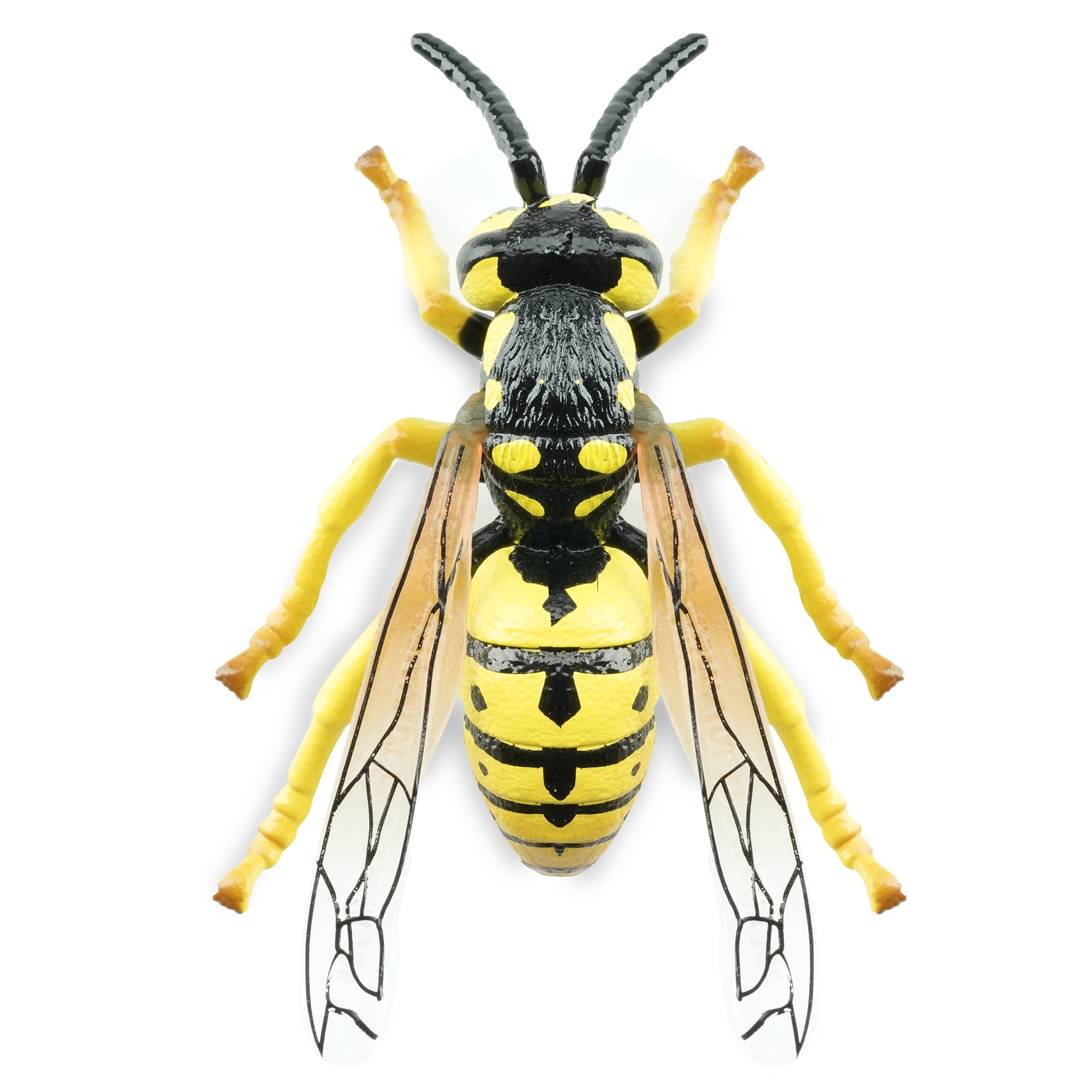 Toymany_Wasp_Figurine_Toy-2