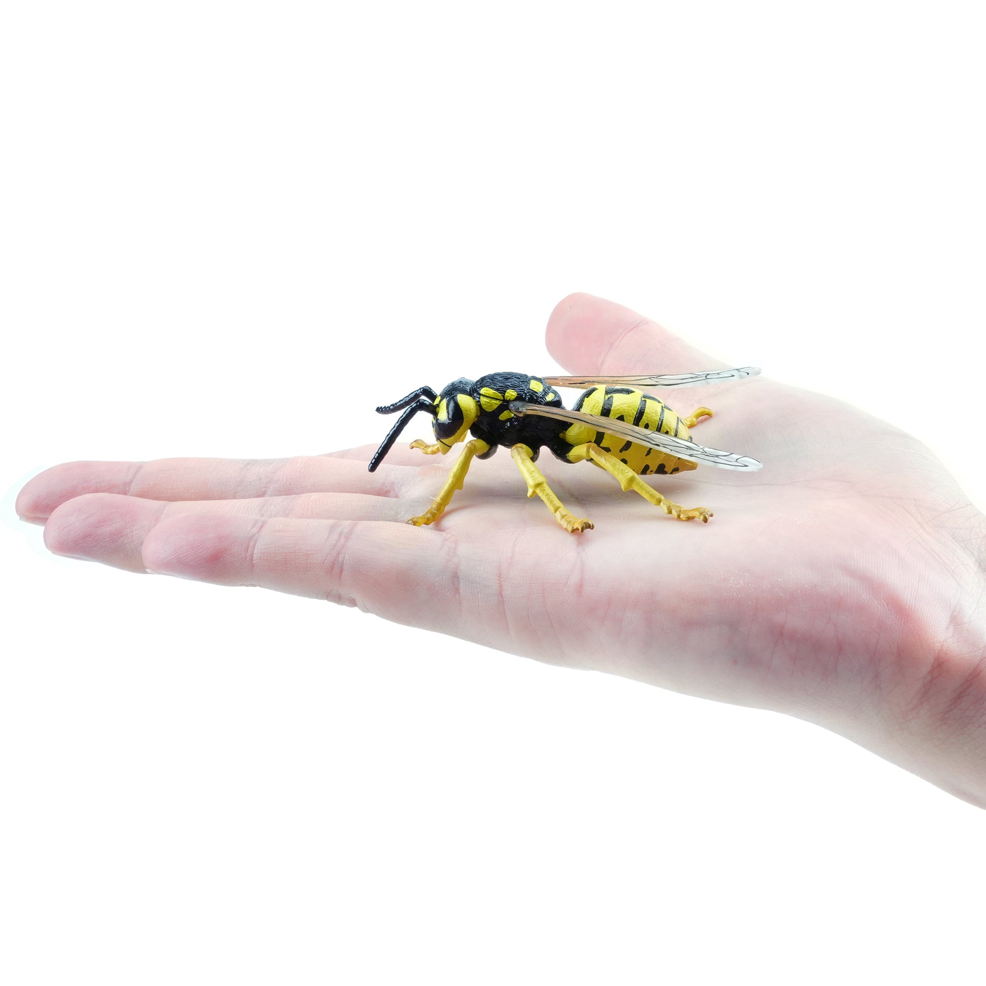 Toymany_Wasp_Figurine_Toy-on_hand