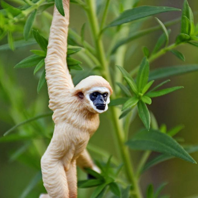 Toymany White-handed Gibbon Figurine Toy