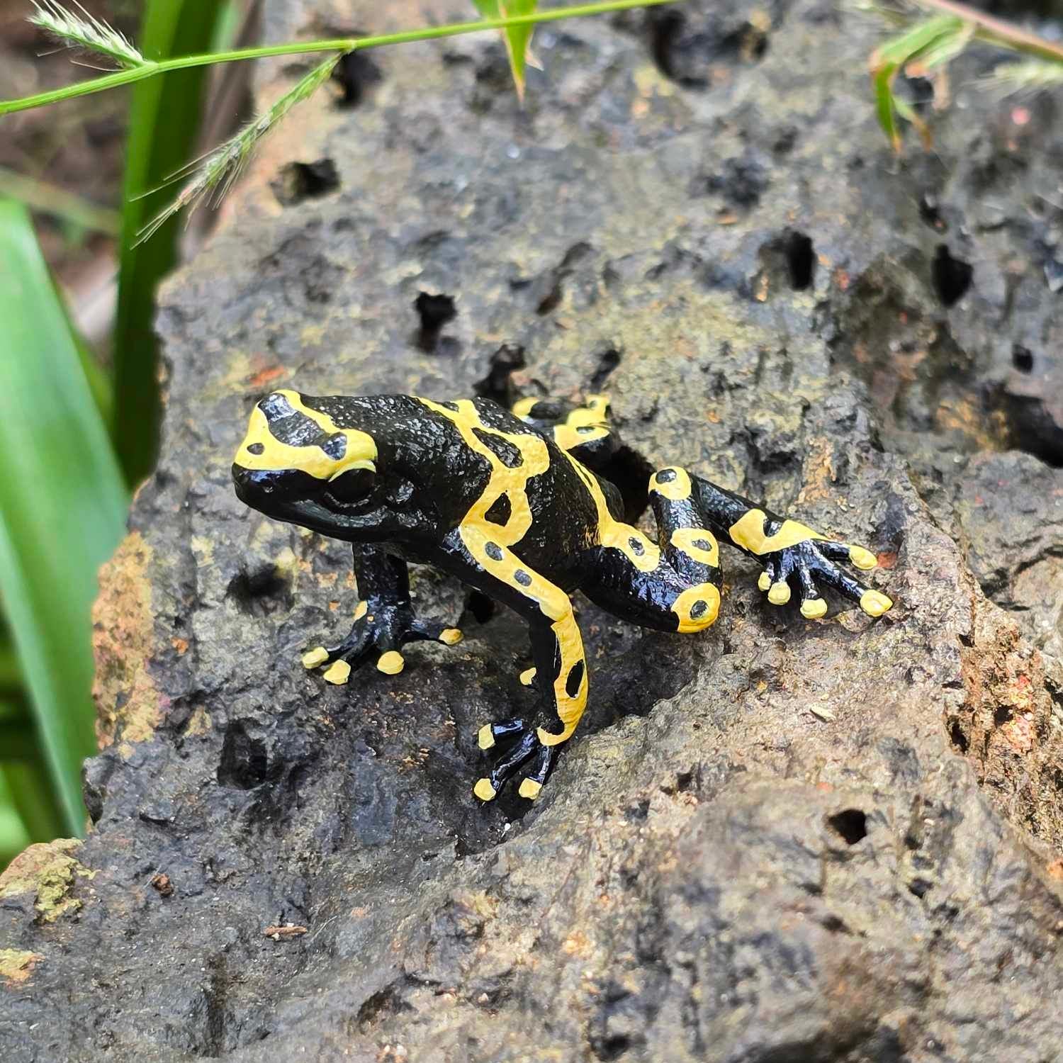 Figura de Rana Dardo Venenoso de Bandas Amarillas Toymany