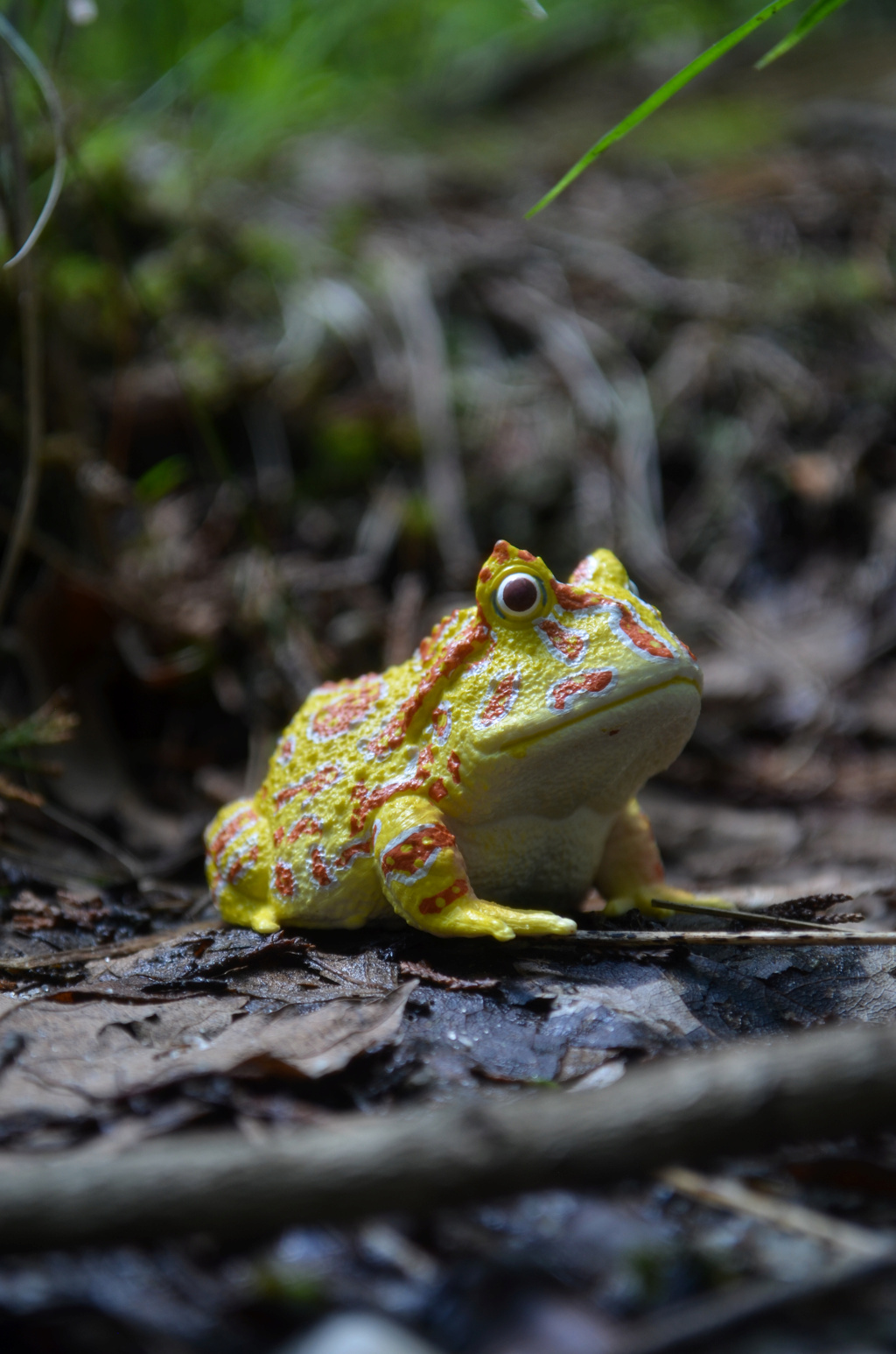 Toymany Argentine Horned Frog Figurine Toy