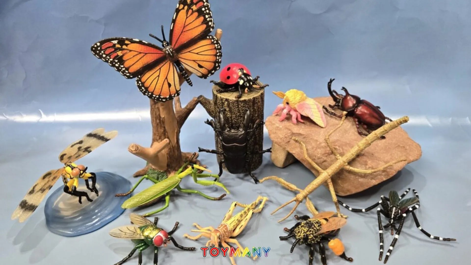 Collector Spotlight: @bmathison1972 Reviews Toymany’s Insect Figurines Playset