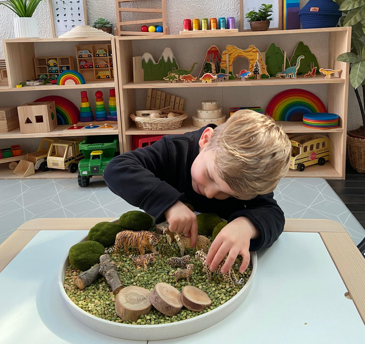 Get Creative with Directions Teaching Using Toymany Animal Figurines