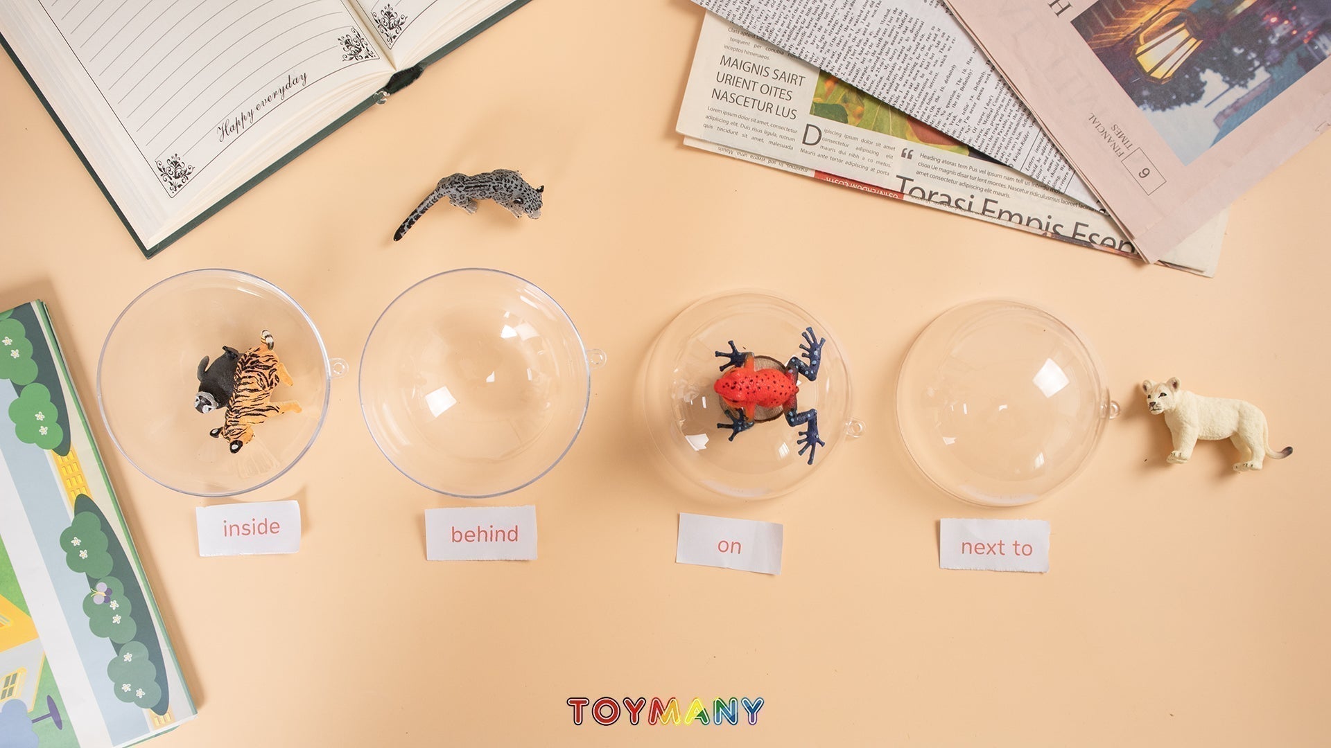 Get Creative with Directions Teaching Using Toymany Animal Figurines