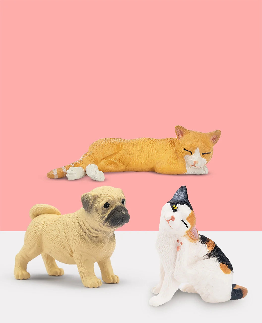 Pet Animal Collection