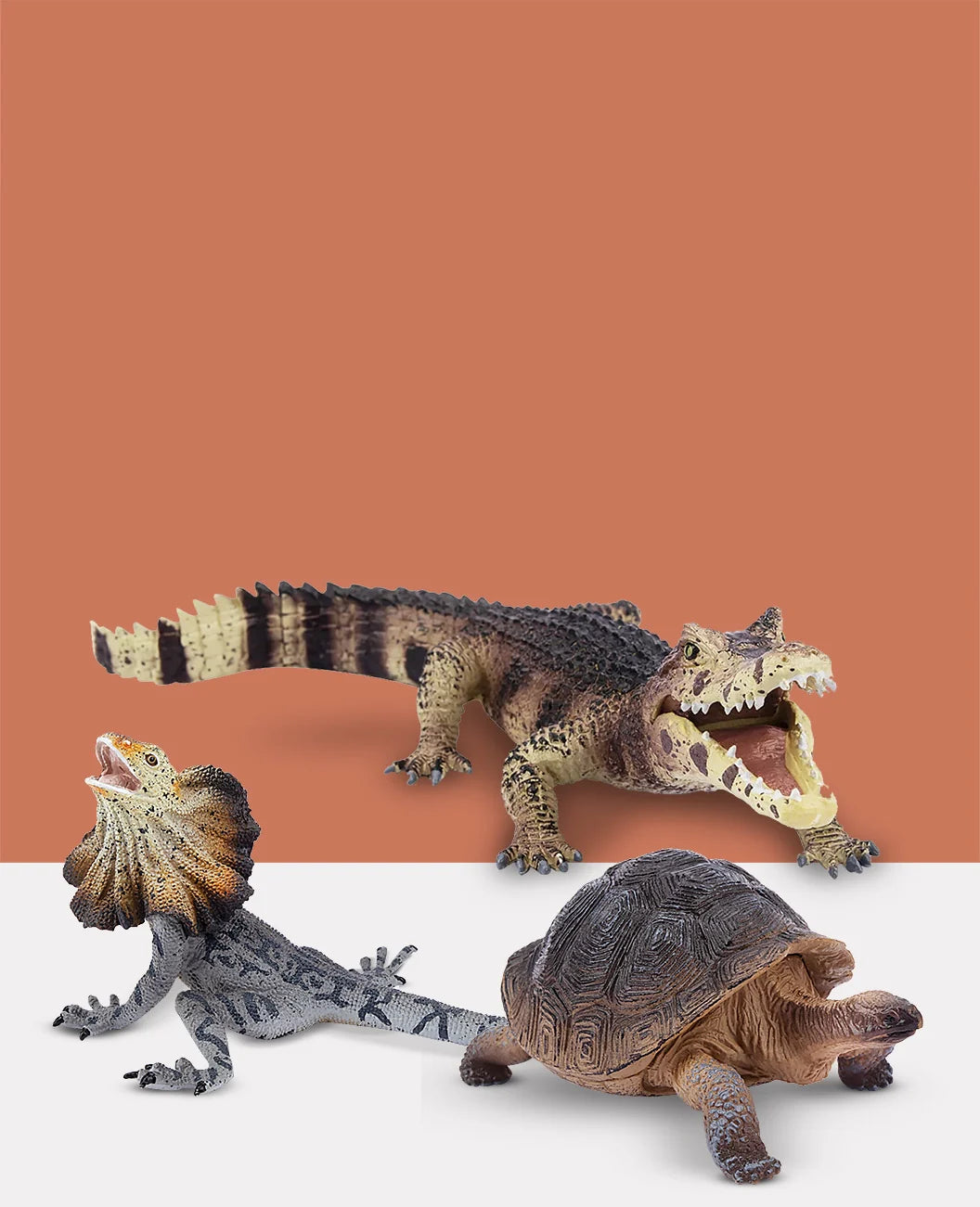 Collection - Reptile Realm