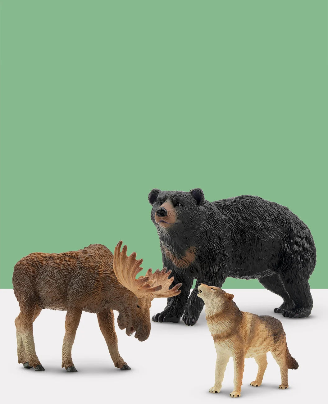 Collection - Wildlife Treasures