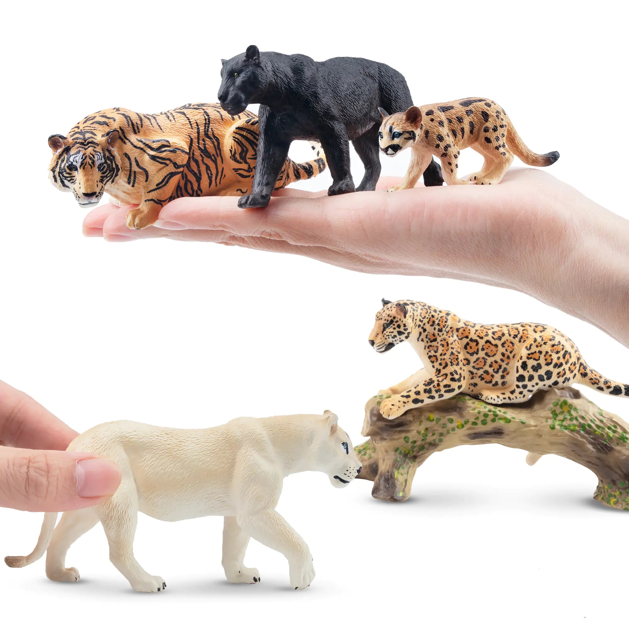 Toymany Wildlife Treasures - Exquisite Wildlife Animal Figurines