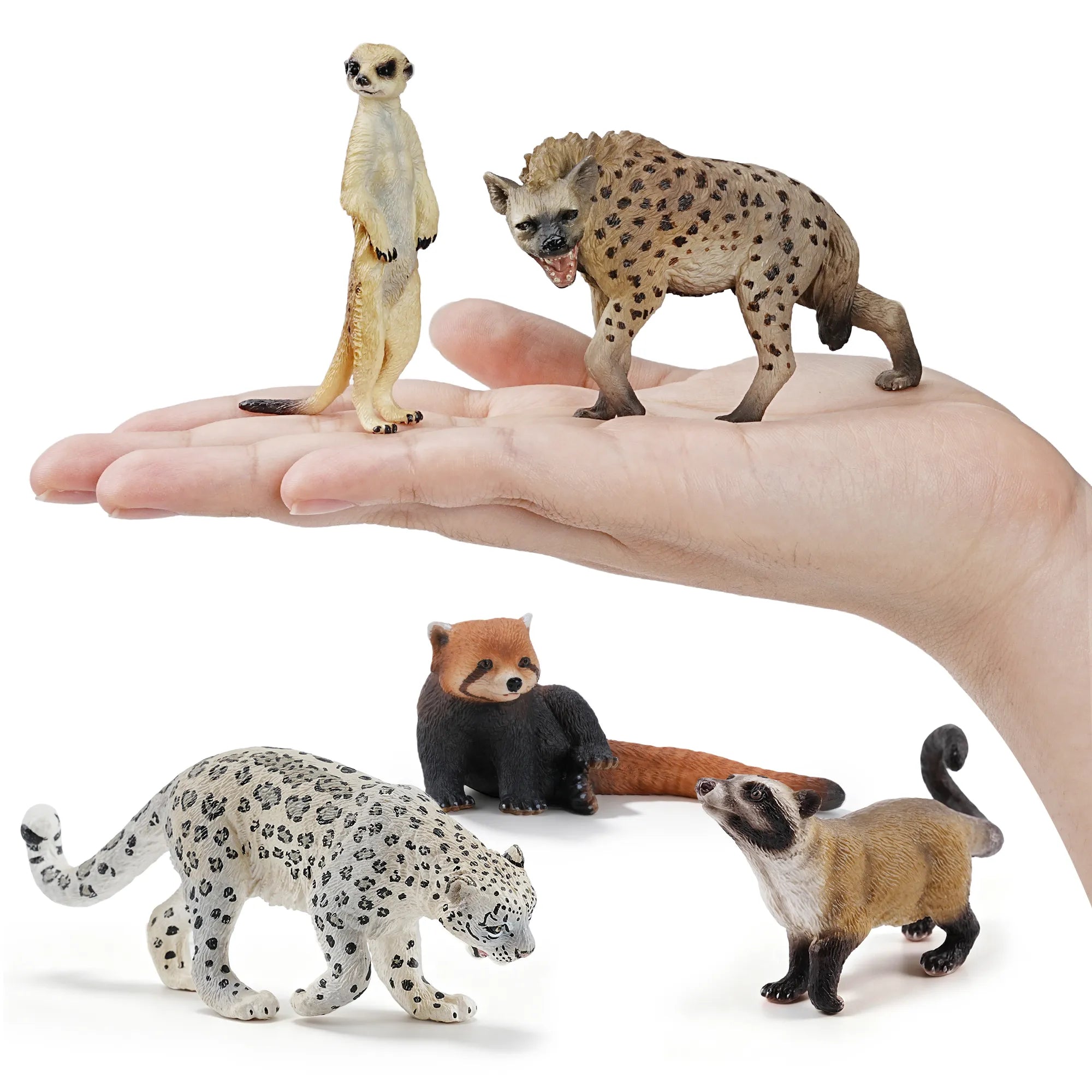 12-Piece Carnivore Figurines Playset-on hand