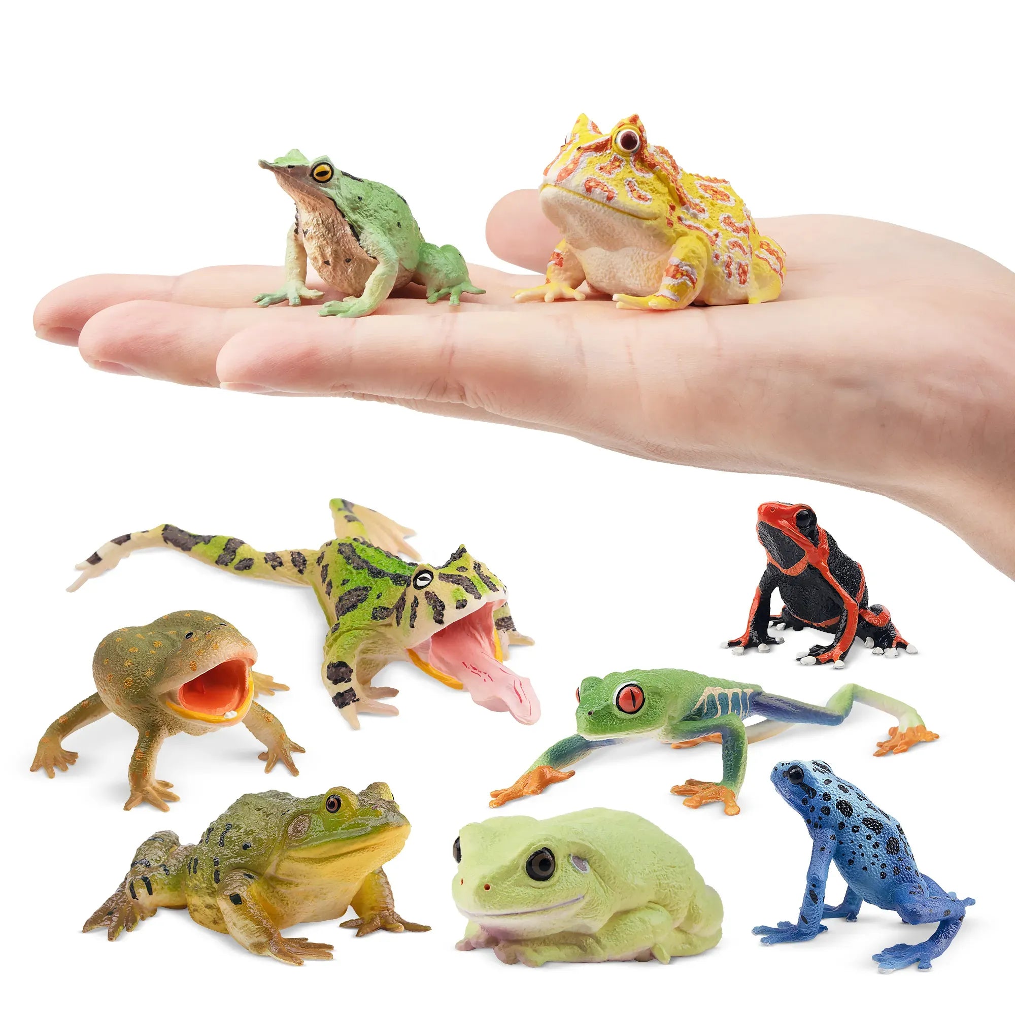 12-Piece Frog Figurines Playset-on hand