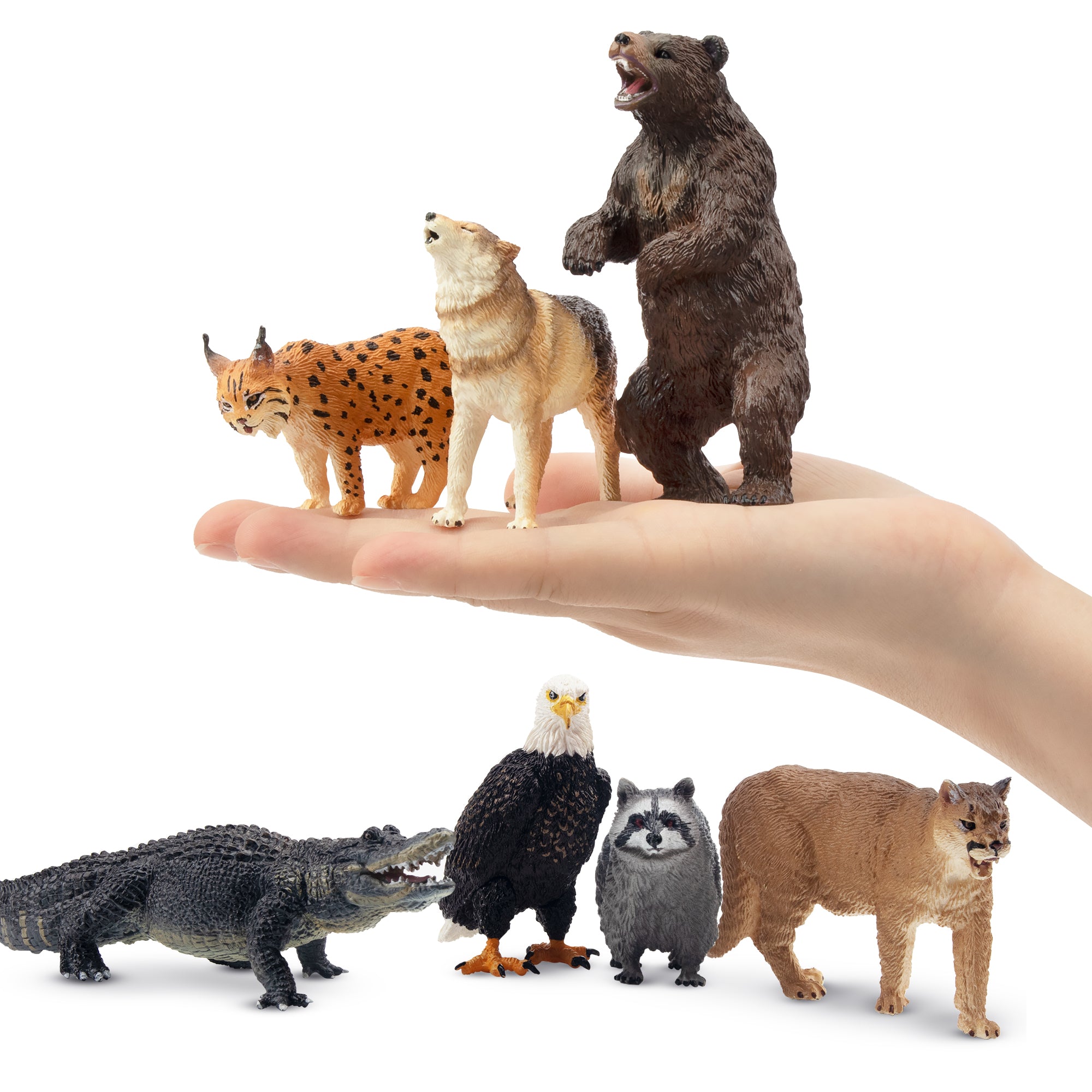 12-Piece North American Forest Animals Set-on hand