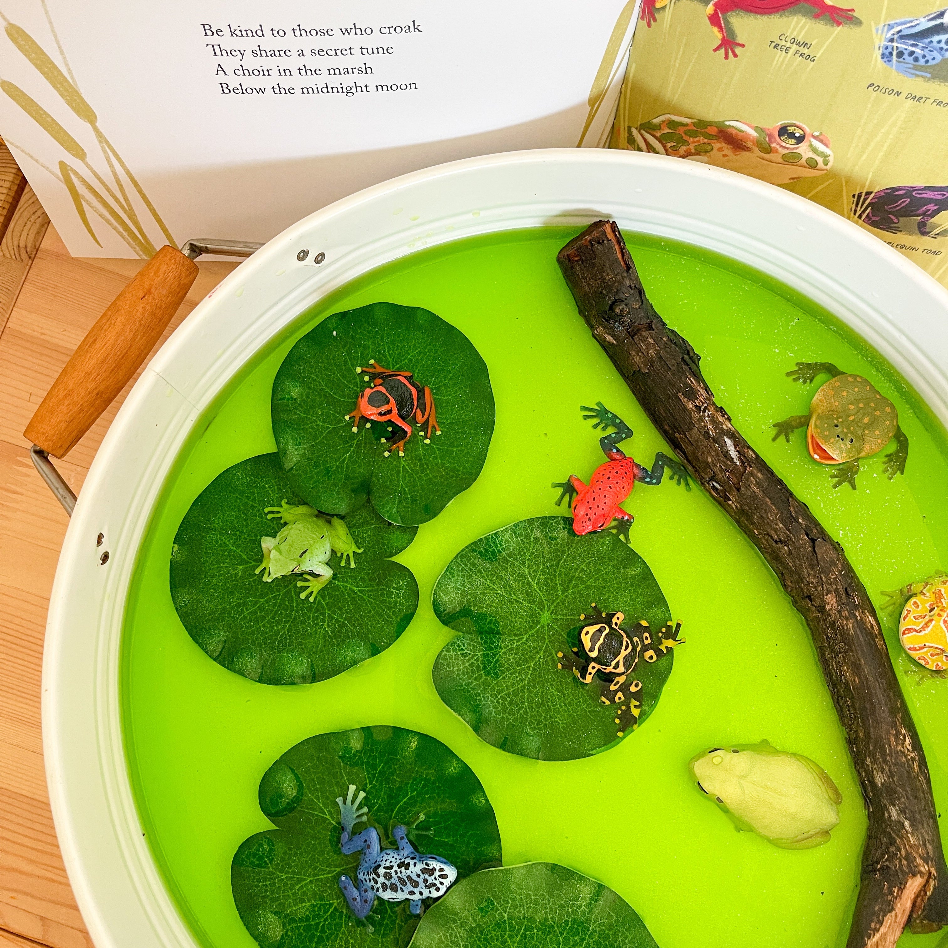 Toymany 12PCS Frog Figurine Playset | Animal Figurine Toy