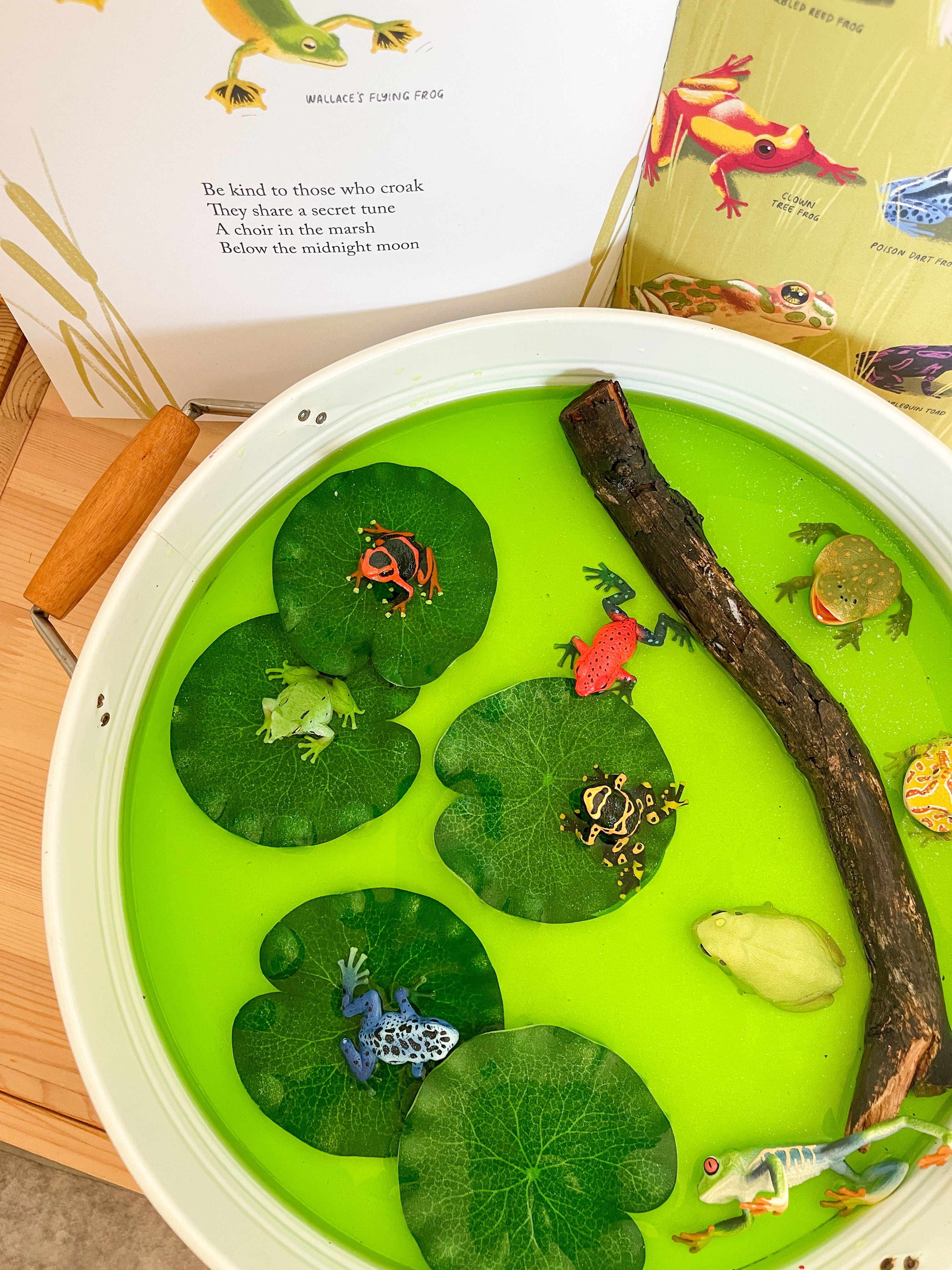 12-Piece Frog Figurine Playset