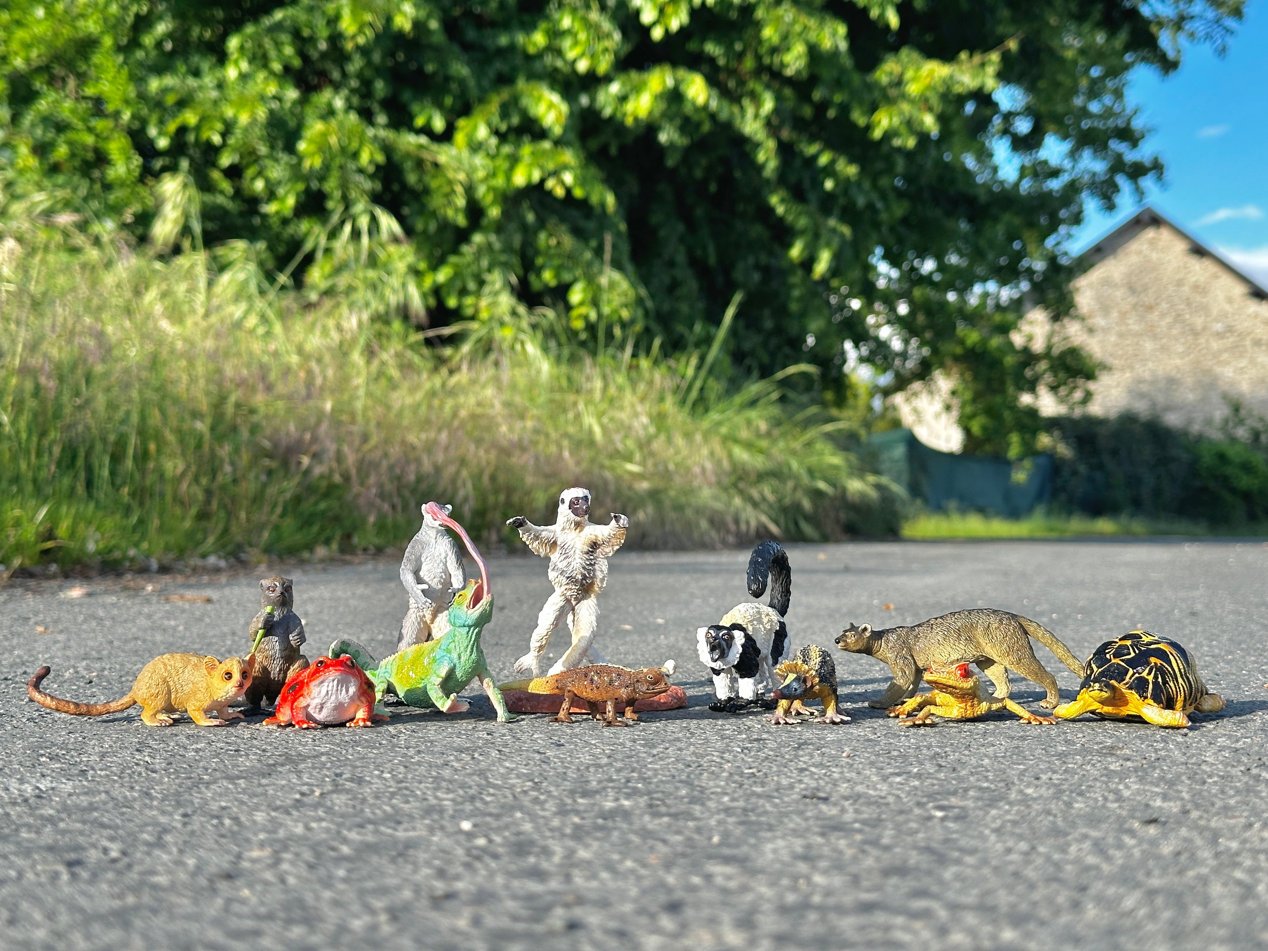 12-Piece Madagascar Animal Figurine Playset