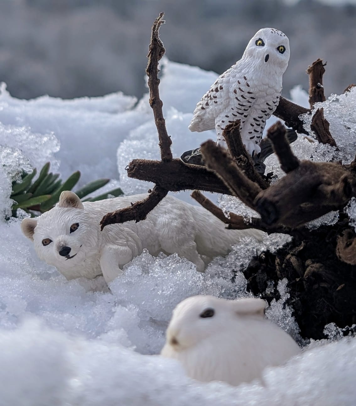 Ensemble de Figurines Animalières Animaux Polaires Petit Format - 14 Pièces