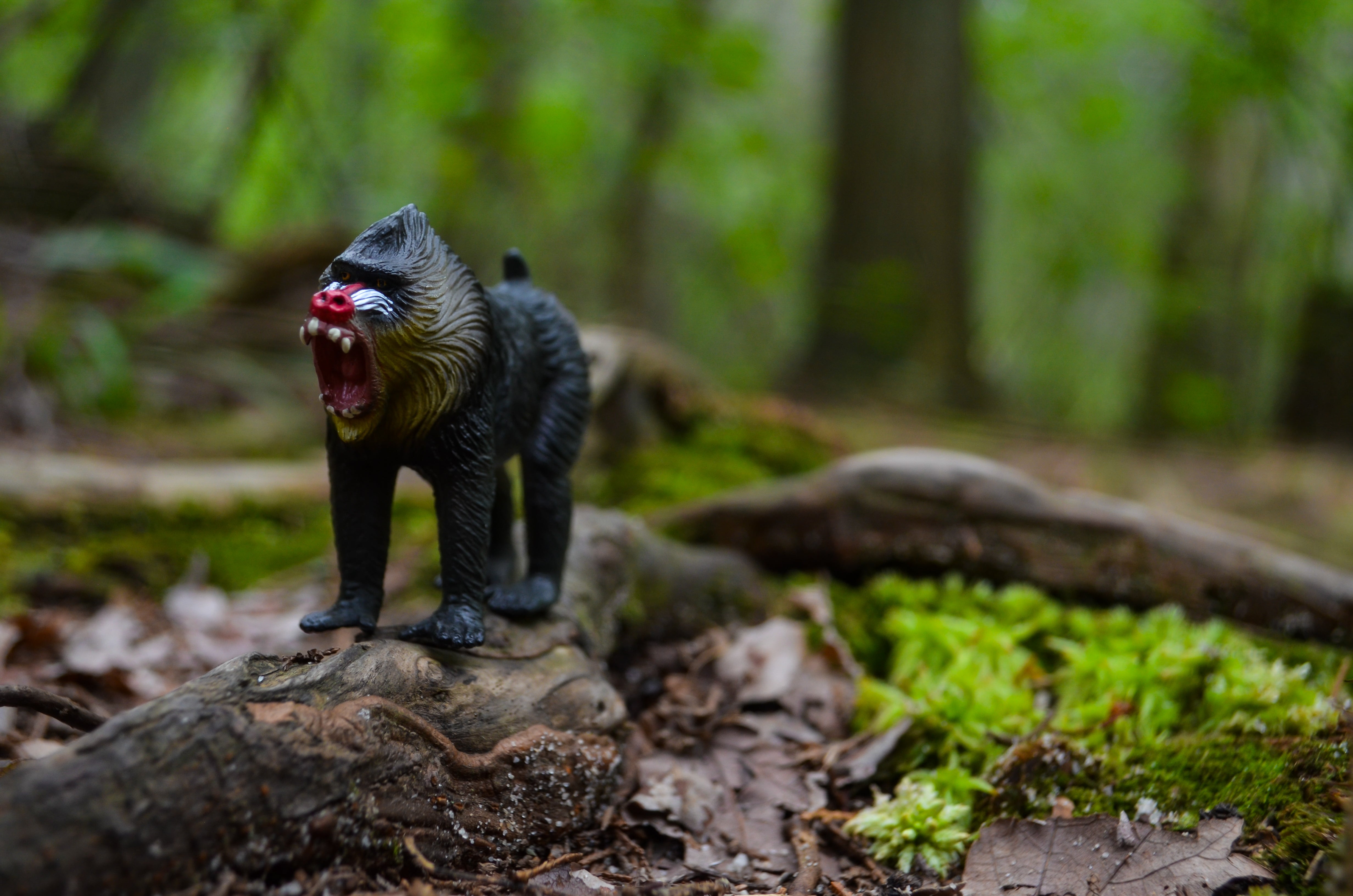 Coffret de 15 Figurines de Primates (Singes &amp; Grands Singes)