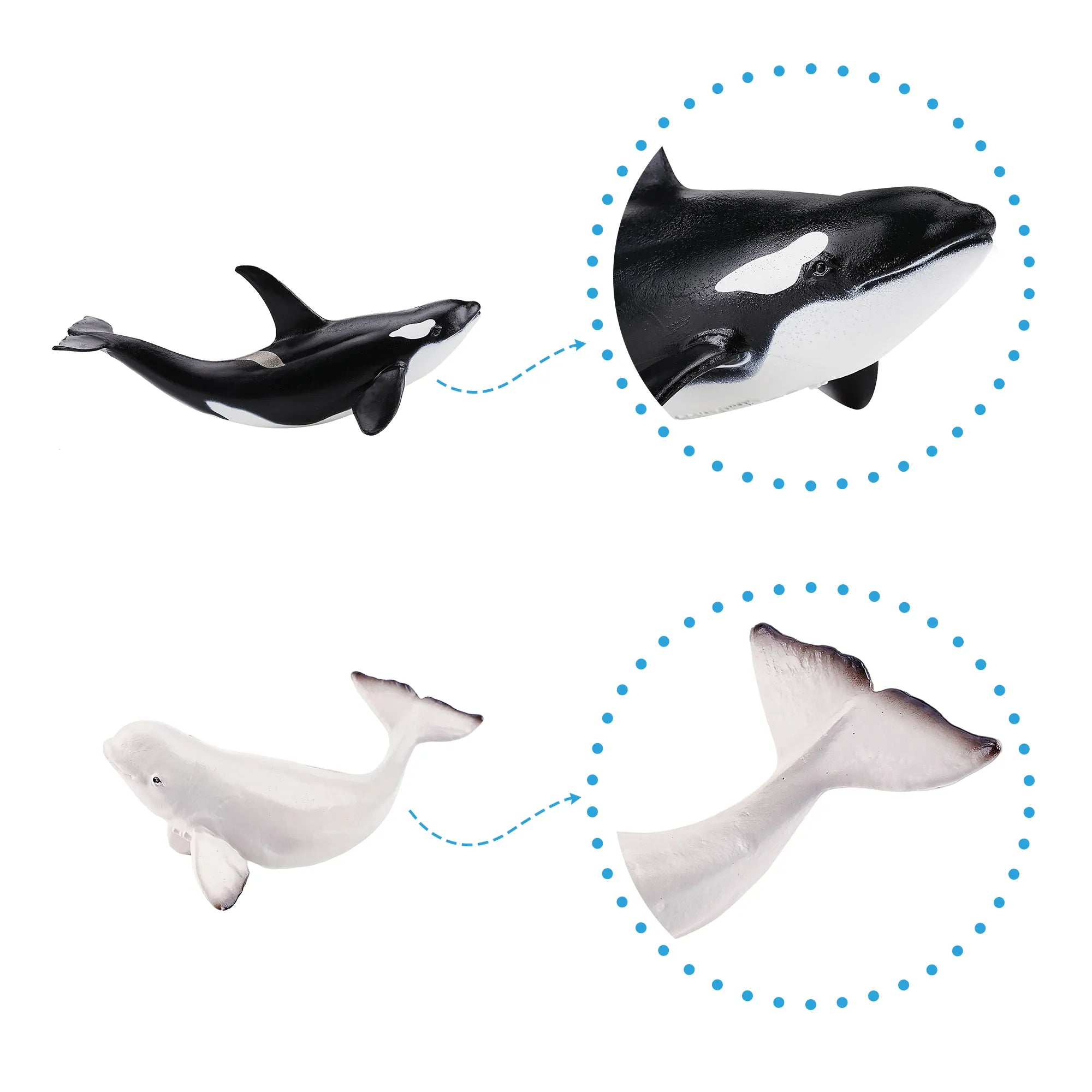 4-teiliges Set mit Walfiguren Erwachsene und Jungtiere