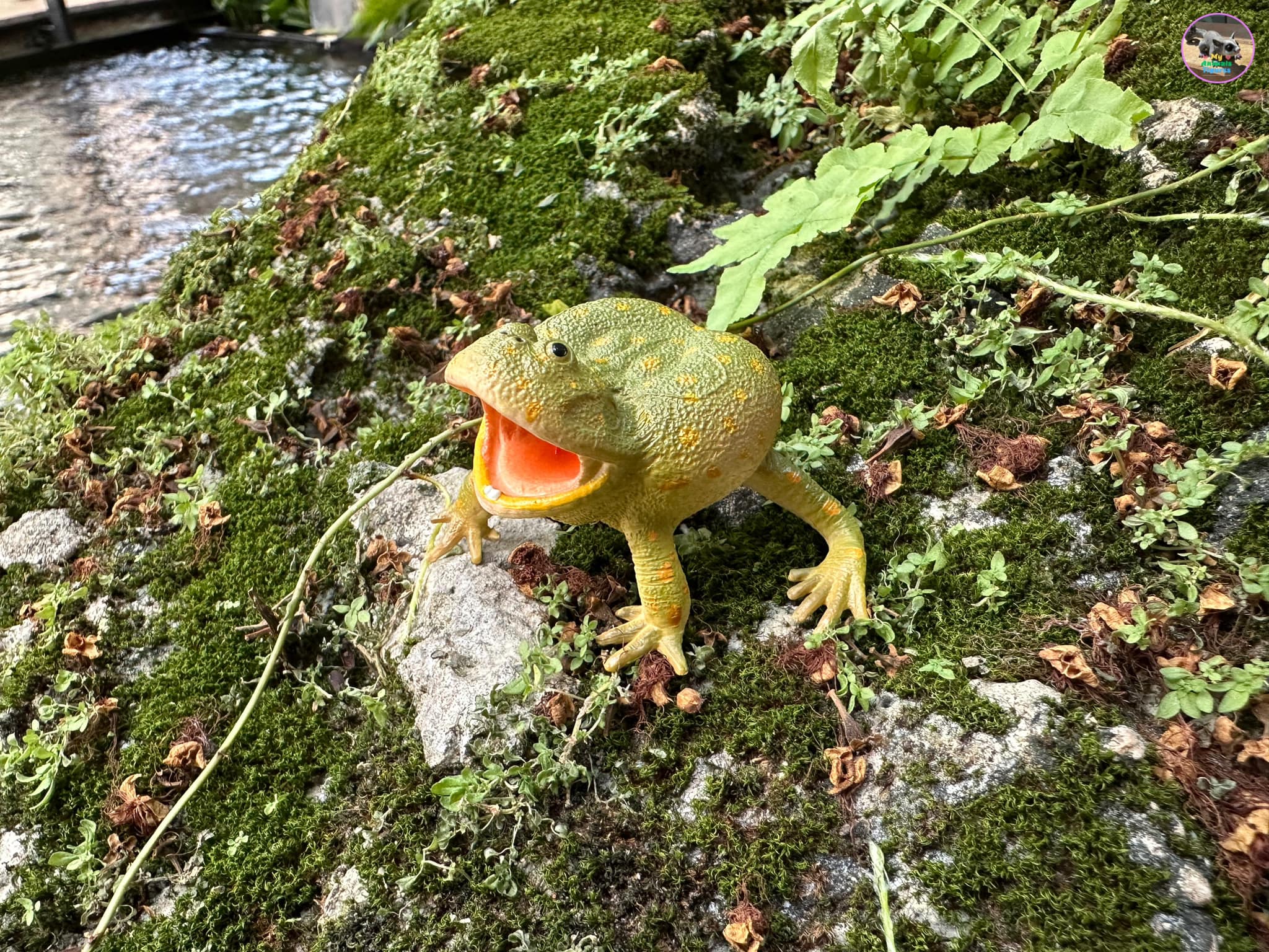 Toymany Budgett's Frog Figurine Toy