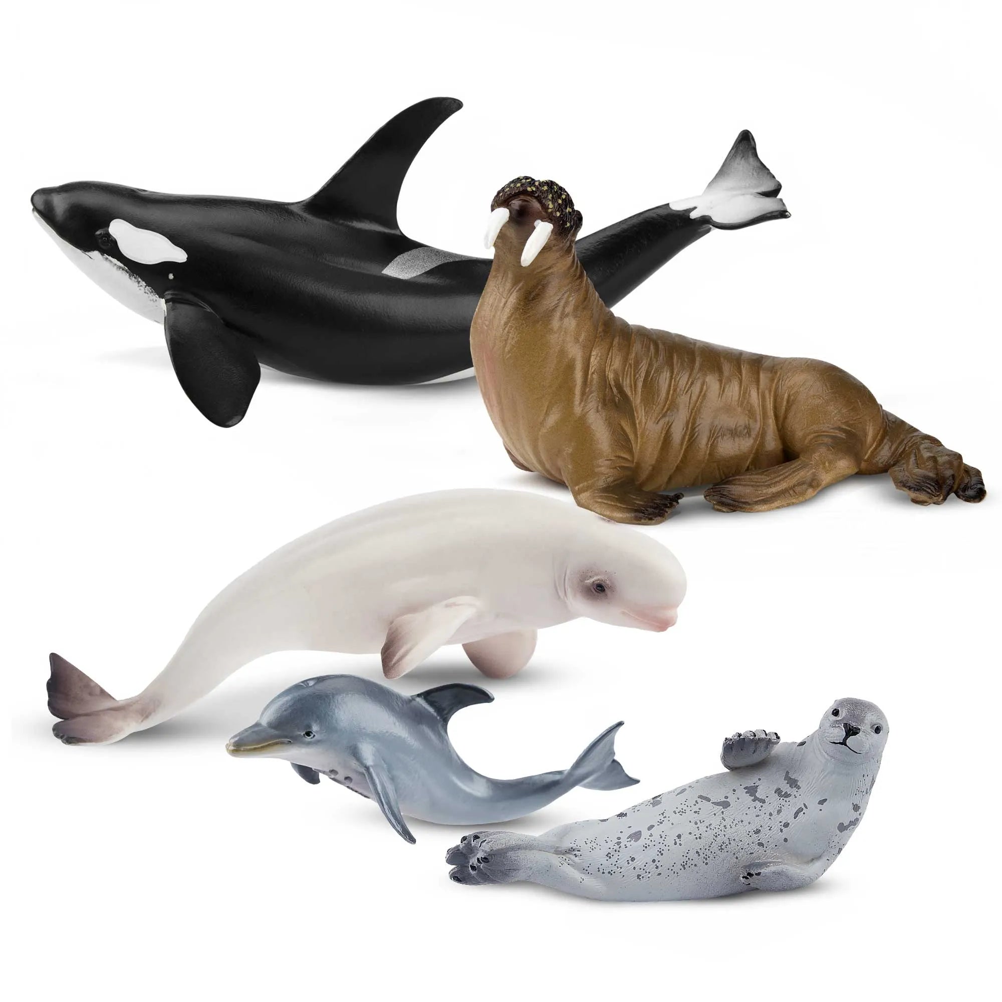 5-Piece Marine Mammal Figurines Bundle-1
