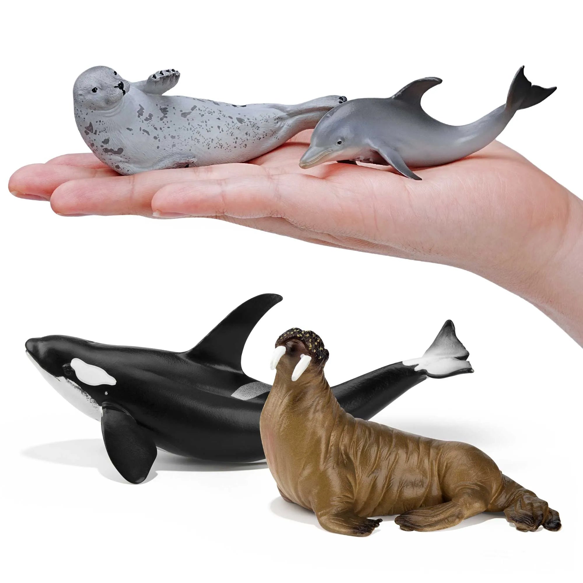 5-Piece Marine Mammal Figurines Bundle-on hand