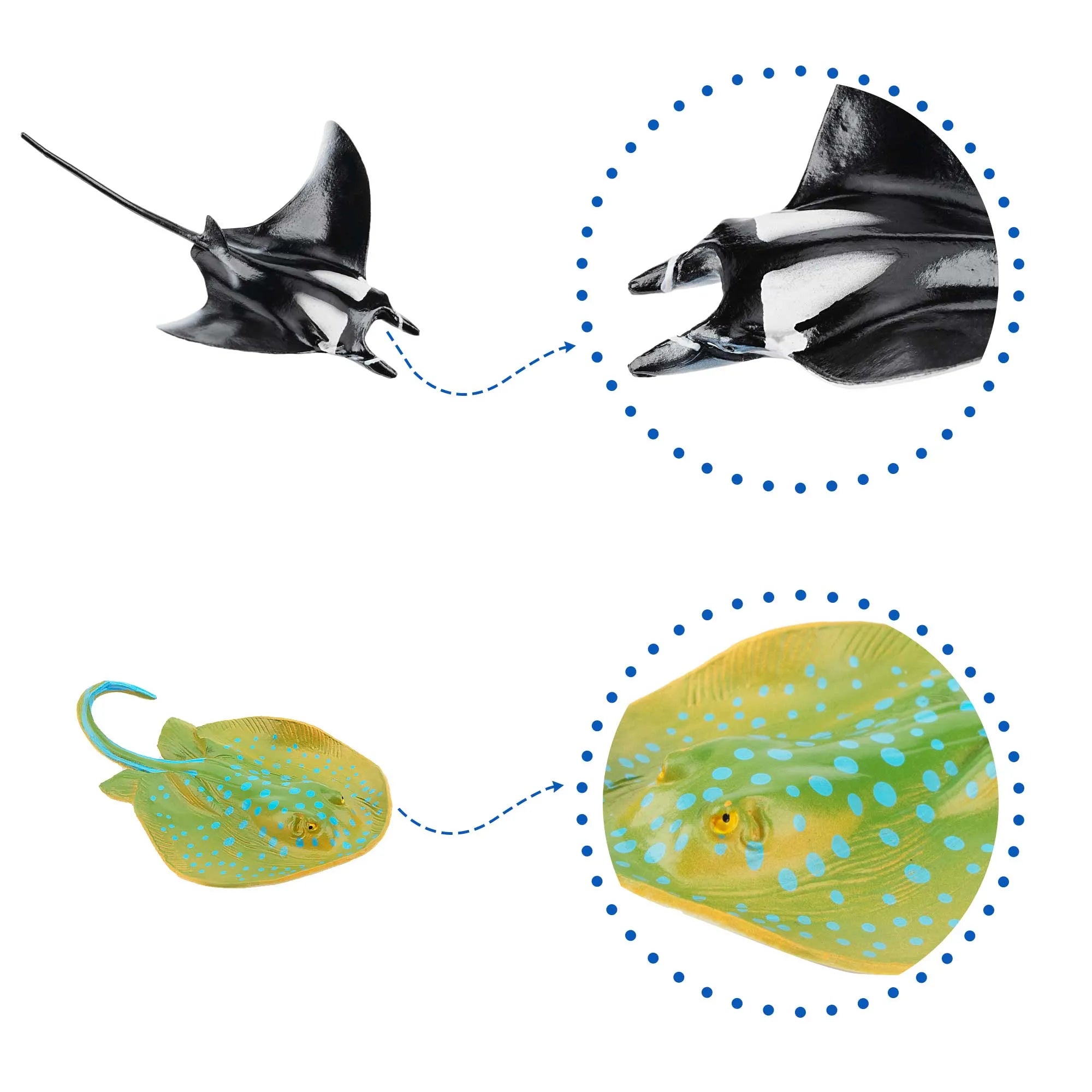 5-Piece Ray Figurines Bundle-3