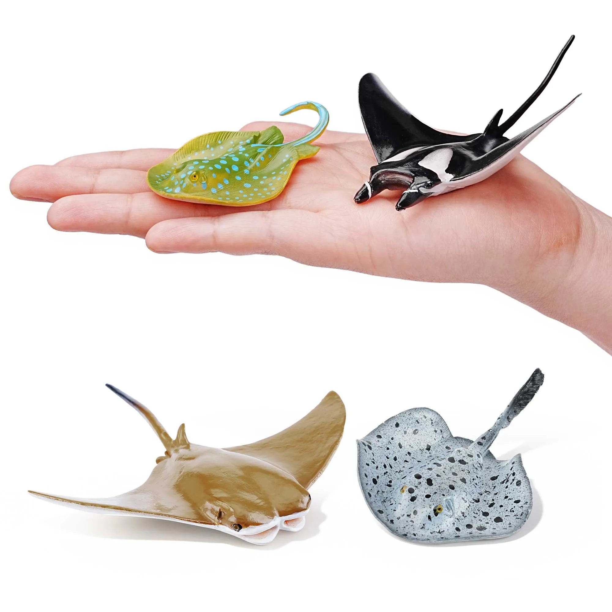 5-Piece Ray Figurines Bundle-on hand