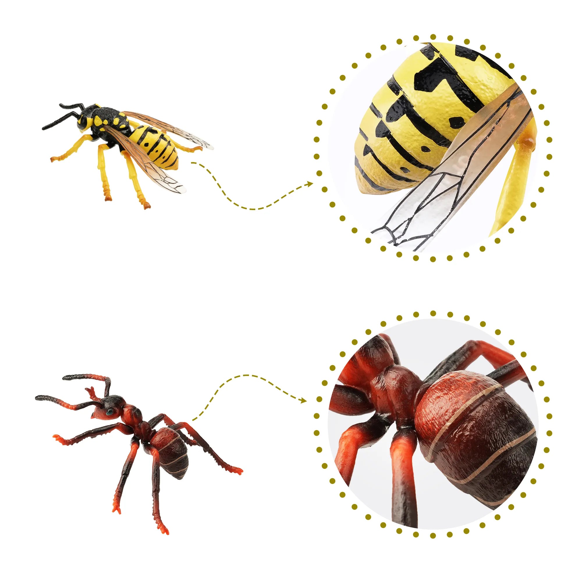 6-Piece Common Backyard Bug Figurines Set-detail1