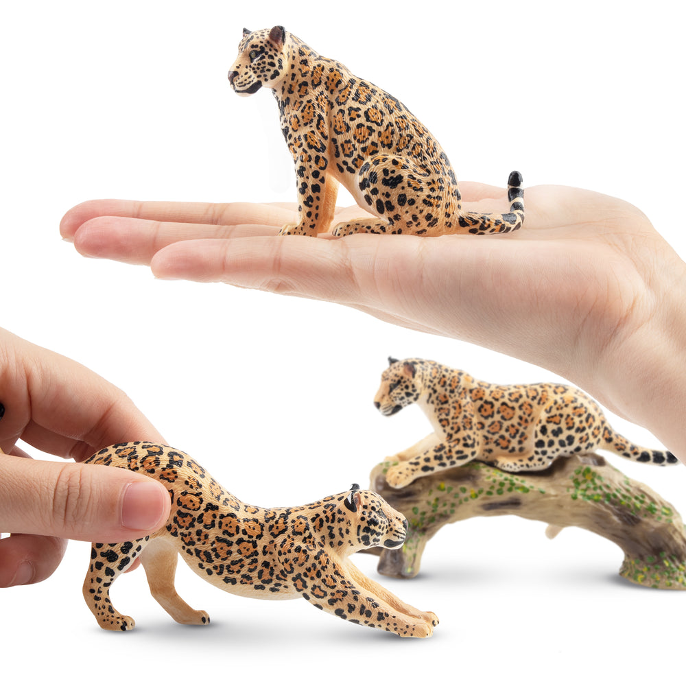 Toymany Wildlife Treasures - Exquisite Wildlife Animal Figurines
