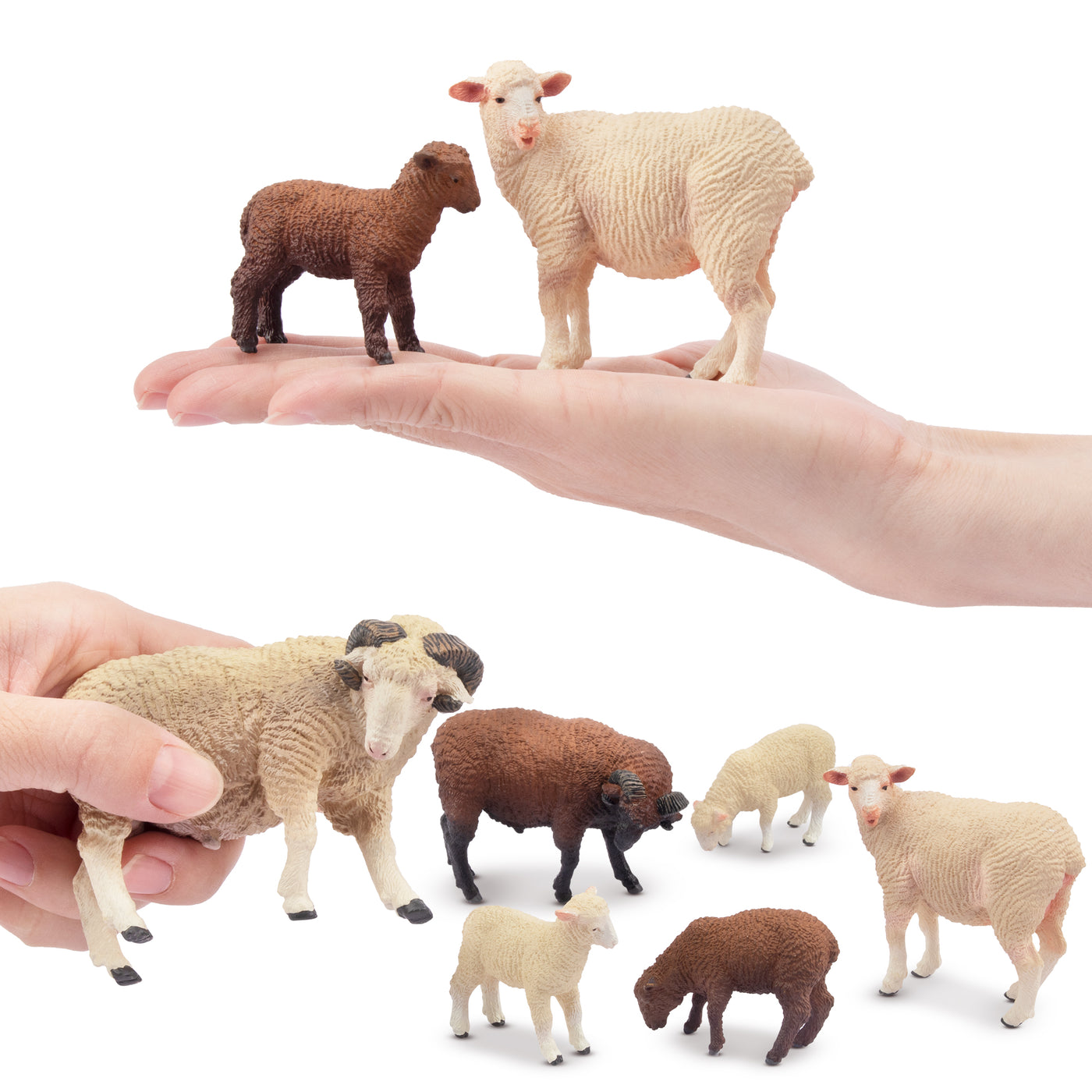 TOYMANY 8-Piece Realistic Merino Sheep Toy Figures Set - Farm Animal Toys For Kids, Birthday & Christmas Gift