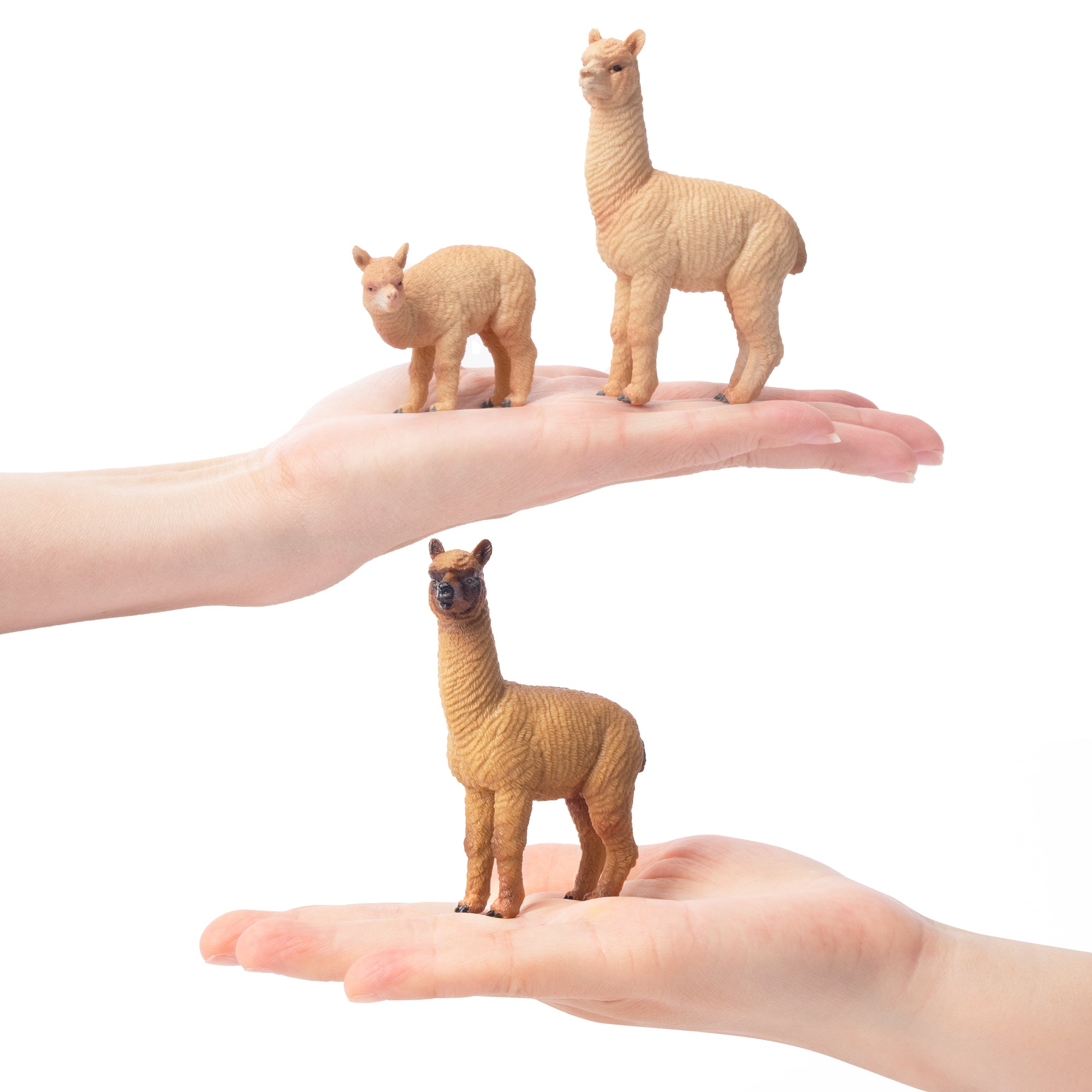 8-Piece Realistic Alpaca Figurines Playset-on hand