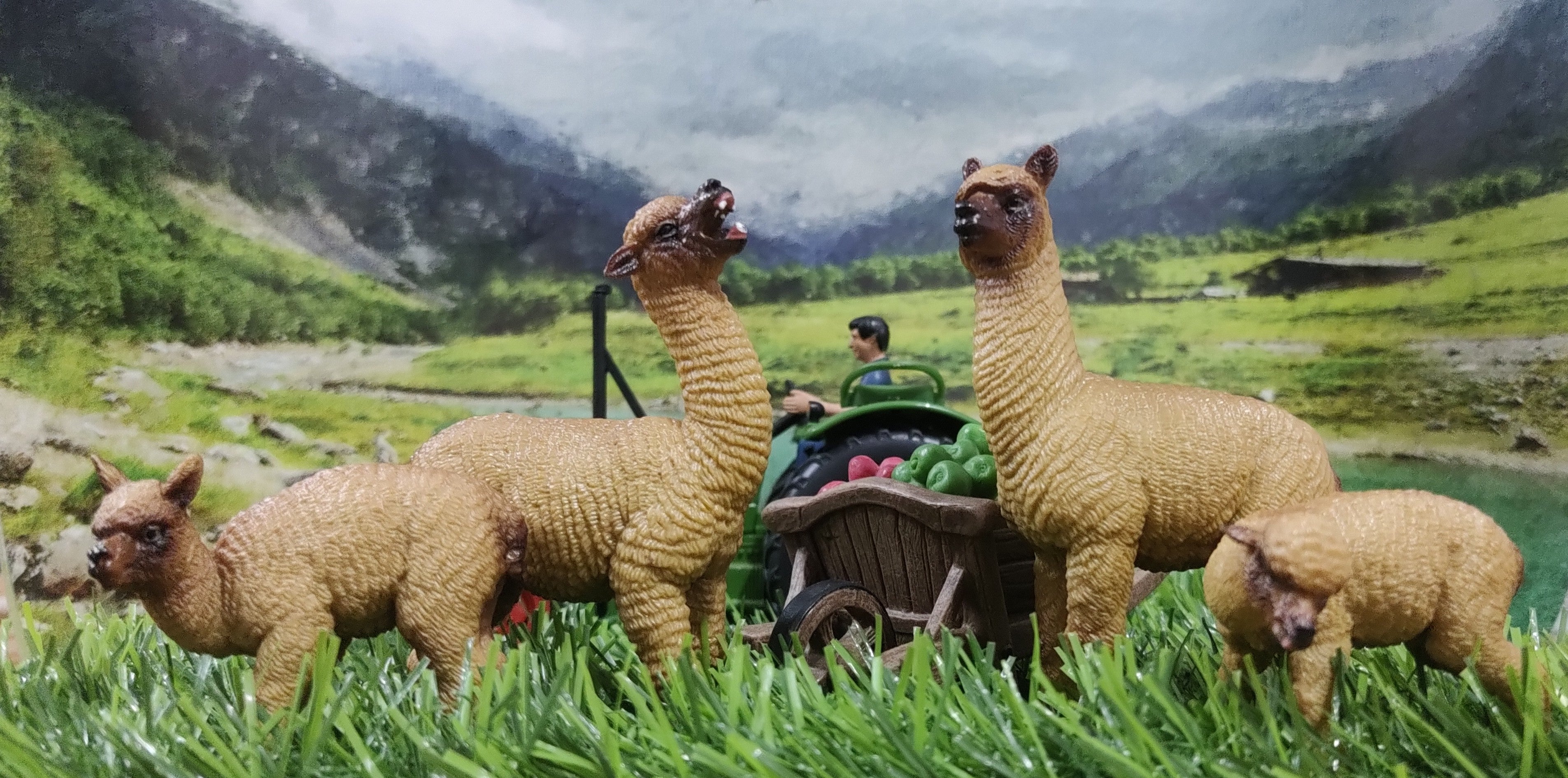 Jeu de Figurines Alpacas Réalistes - Ensemble de 8 Pièces Toymany