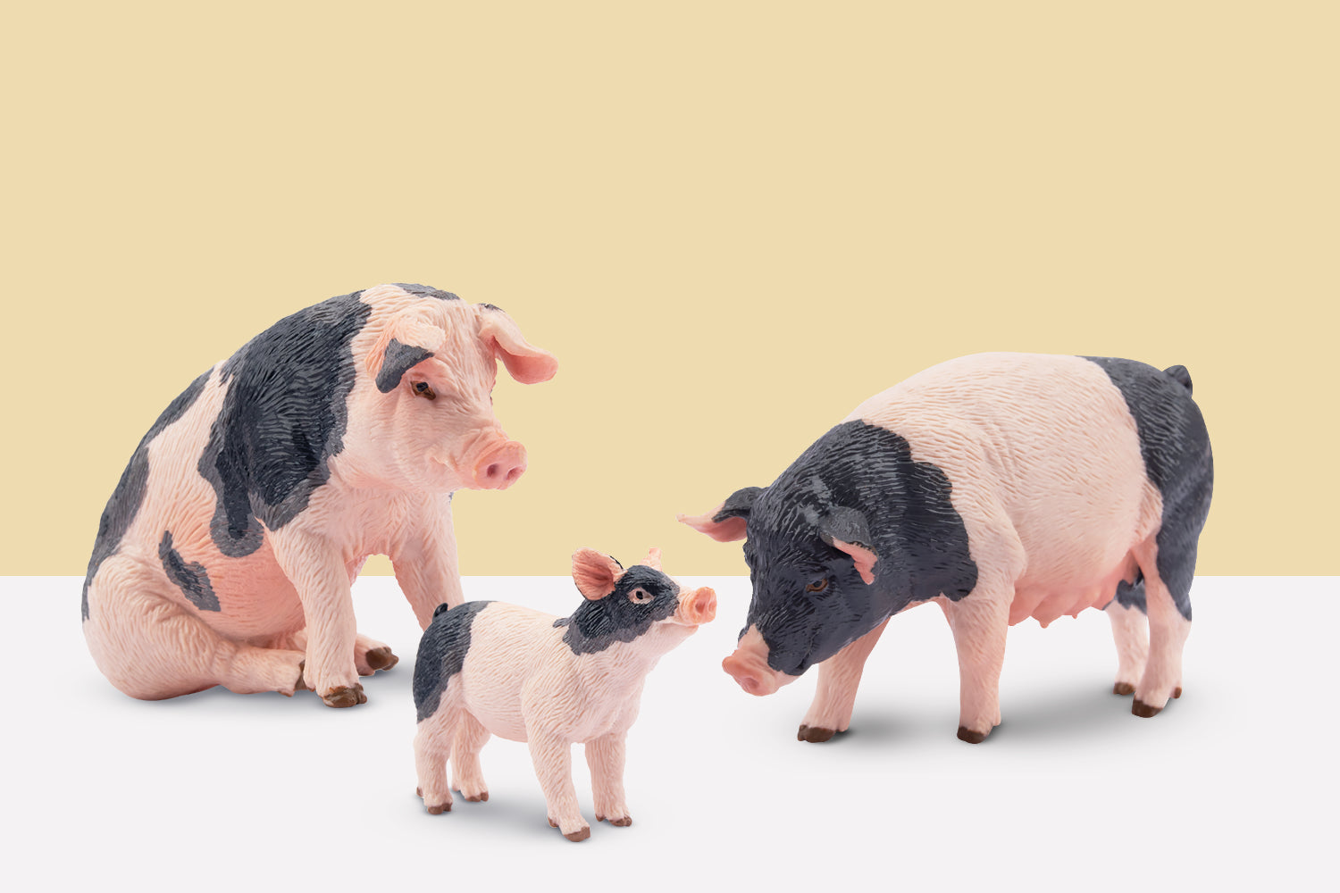 Toymany - Tiny Animals, Grand Exploration - Discover Our Story