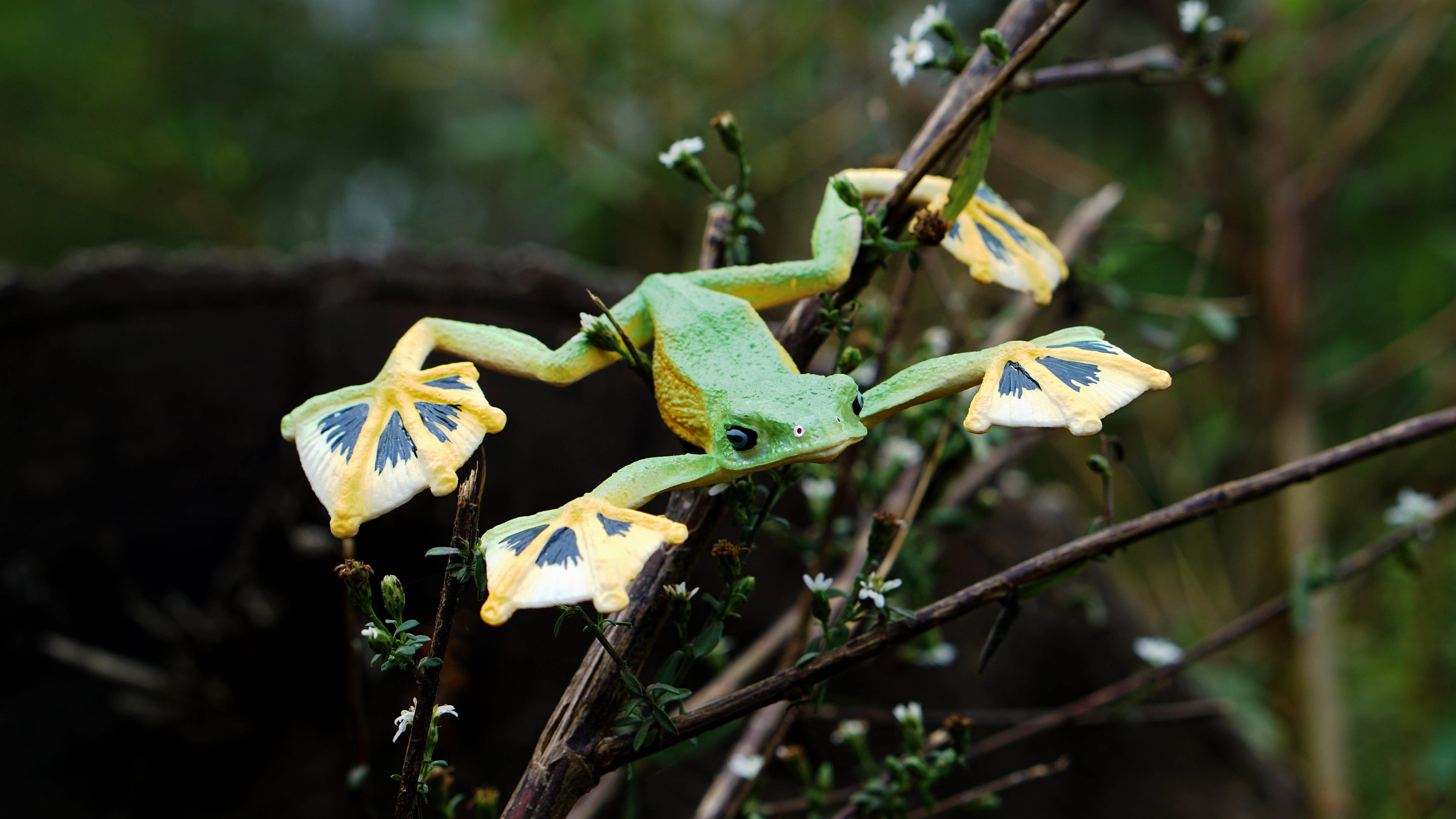 Toymany Wallace's Flying Frog Figurine Toy