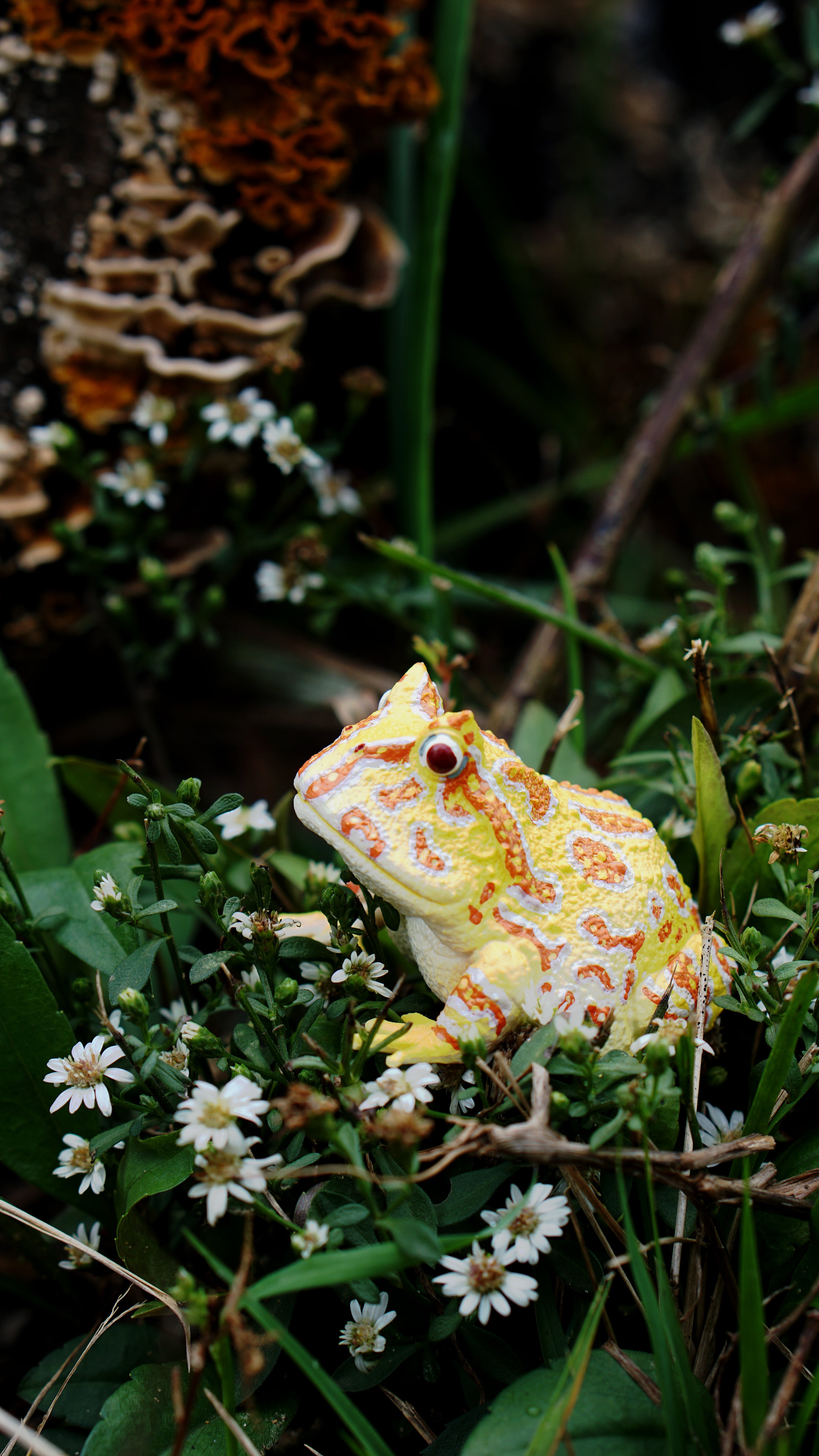 Toymany Argentine Horned Frog Figurine Toy