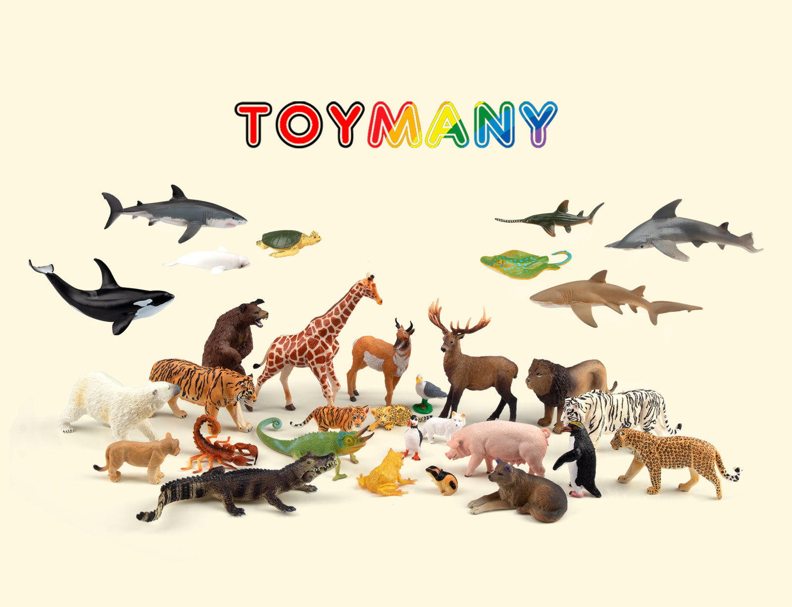 Toymany Tiny Animals Grand Exploration Discover Our Story toymany-tiny-animals-grand-exploration-discover-our-story